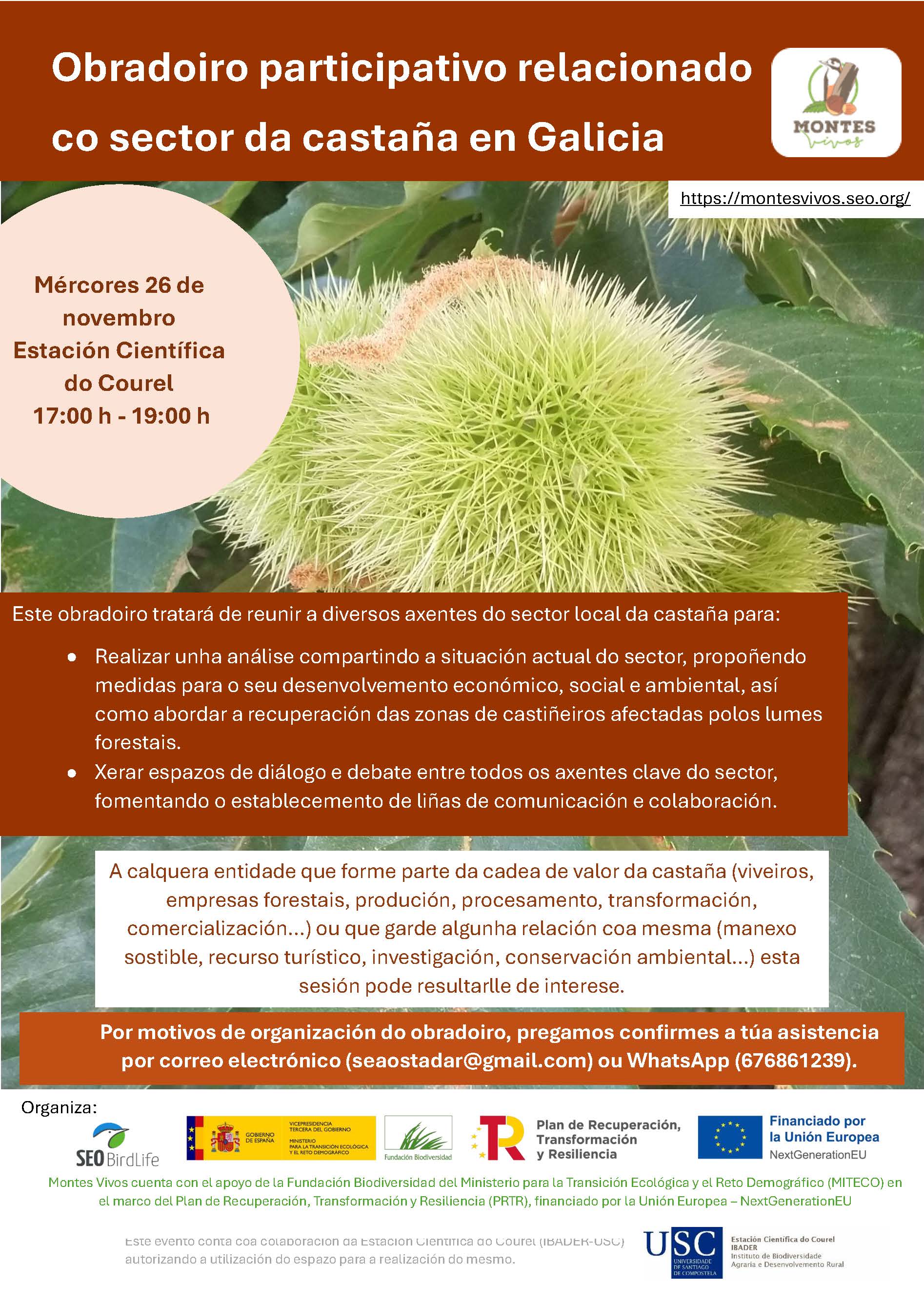 2025-11-26-Obradoiro Participativo Sector da Castaña en Galicia