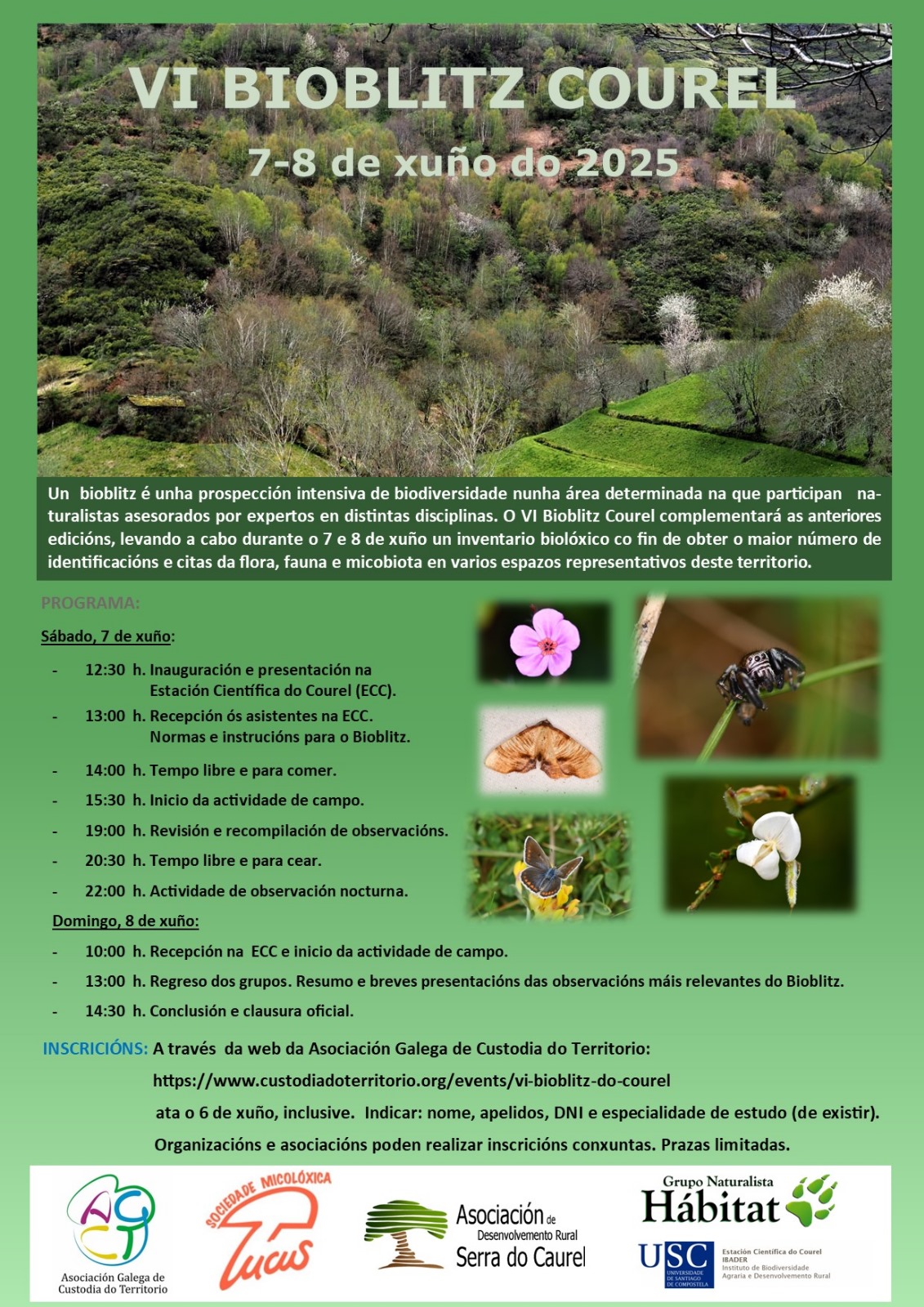 VI Bioblitz Courel (2025)