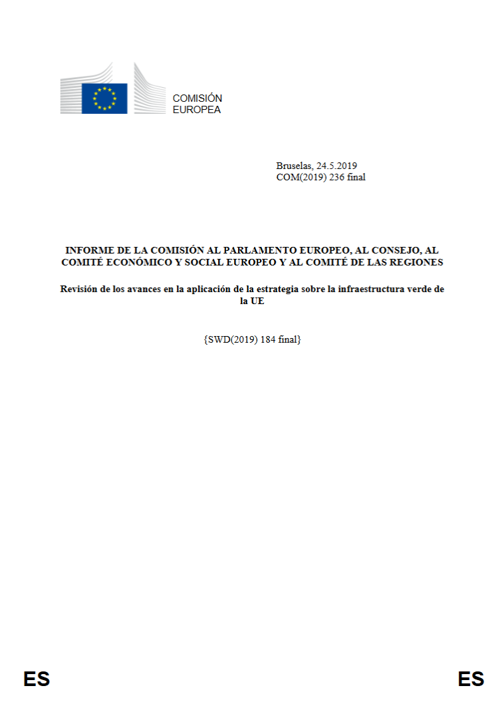 CE (2019). Revisión de los avances EEIV