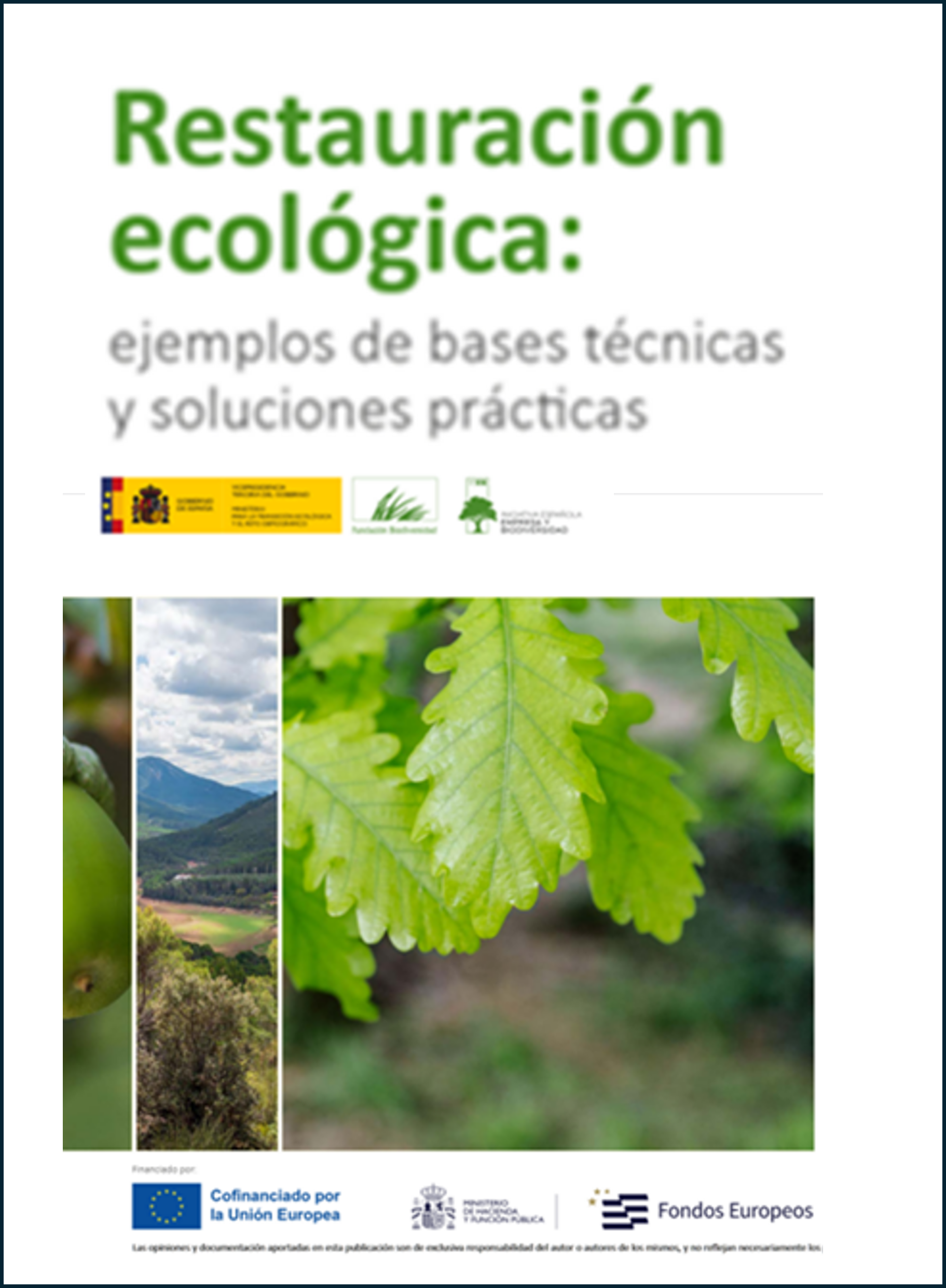Restauración Ecológica: ejemplos