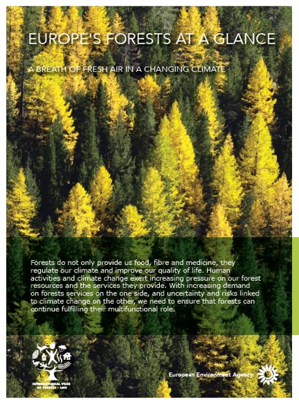 Europe's forests at a glance. A breath of fresh air in a changing climate.