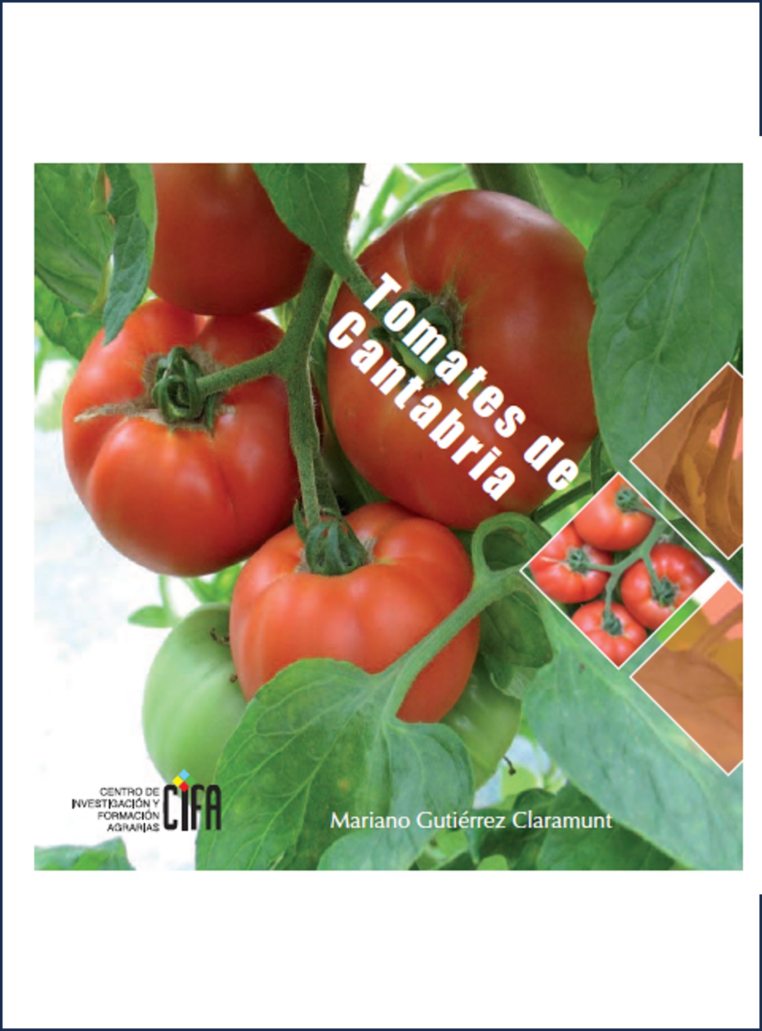 Tomates de Cantabria (2009)