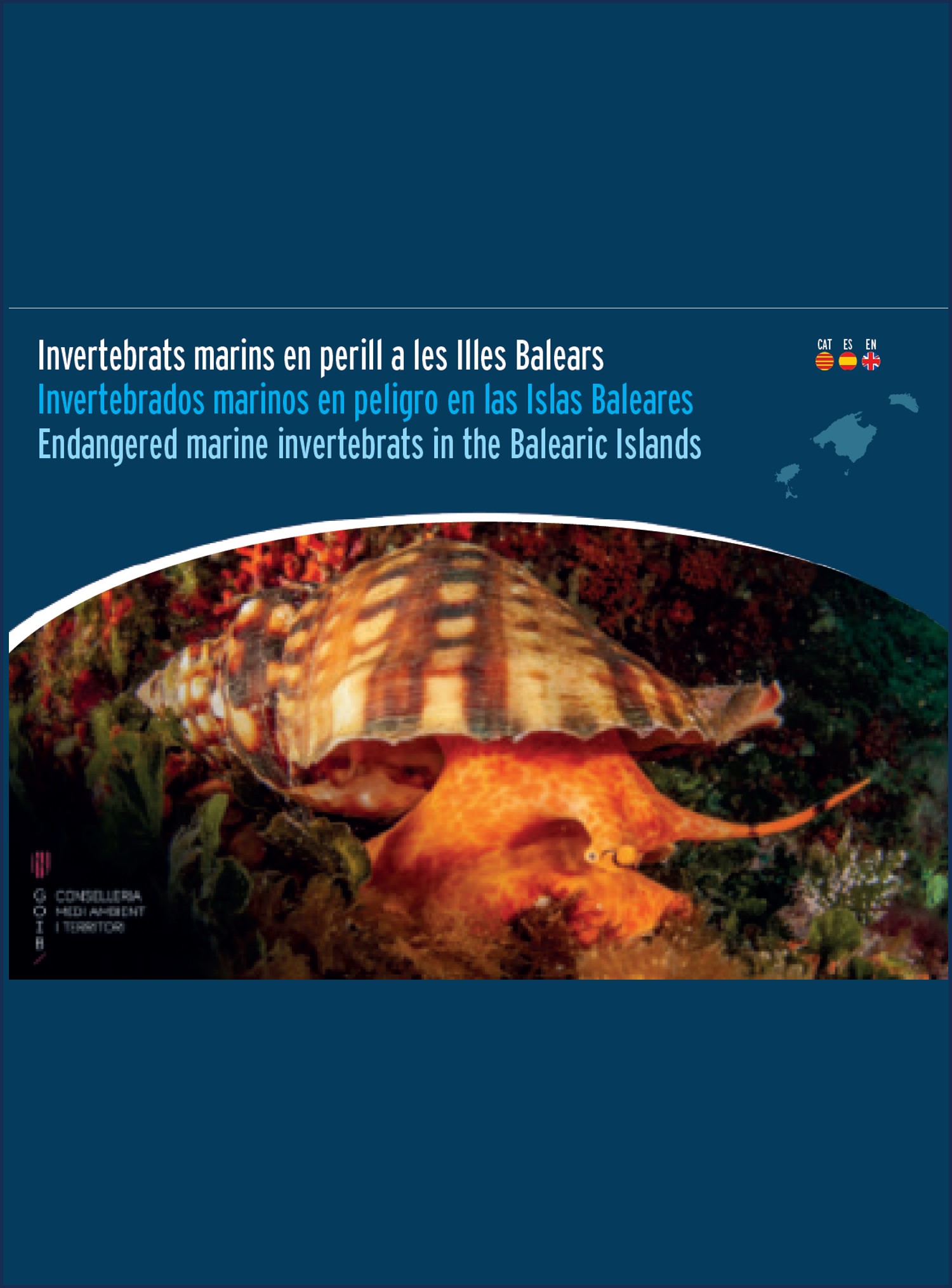 Invertebrados marinos en peligro en las Islas Baleares (2020)