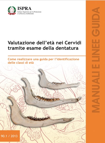  Valutazione dell'etá riel Cervidi (Marinis)