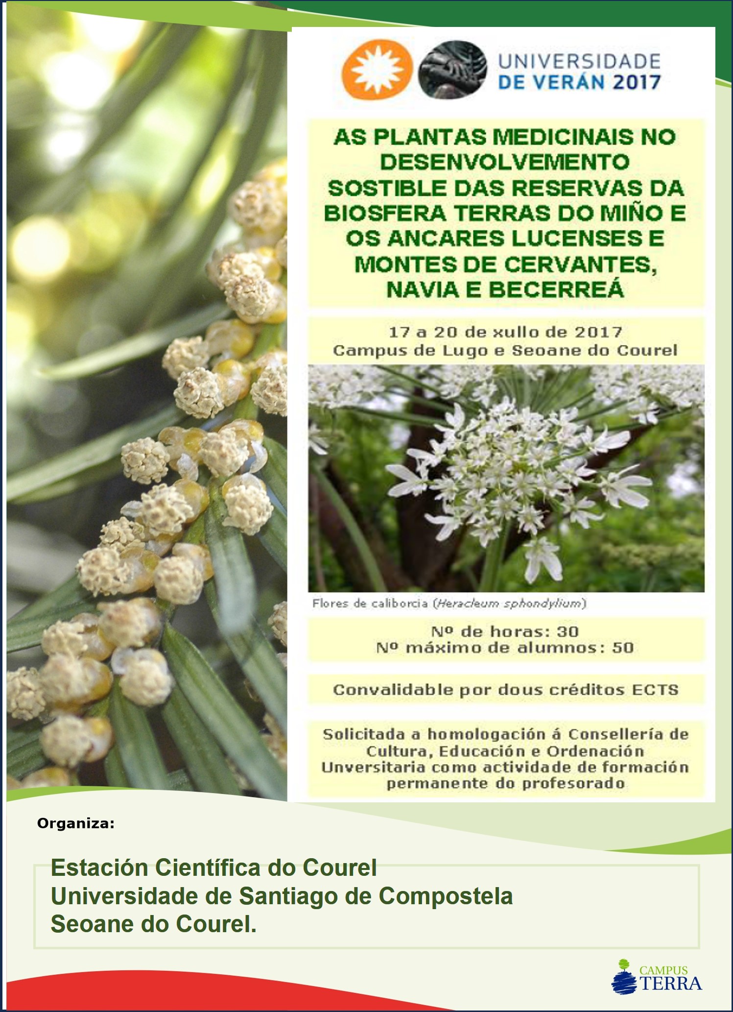 Curso de Verán: Plantas Mediciñais (2017)