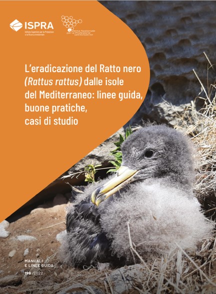  L’eradicazione del Ratto nero (Rattus rattus) dalle isole del Mediterraneo: 