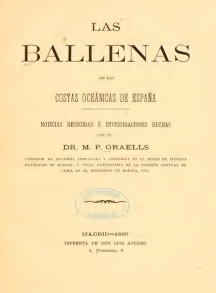 Las ballenas en las costas oceánicas de España. 
