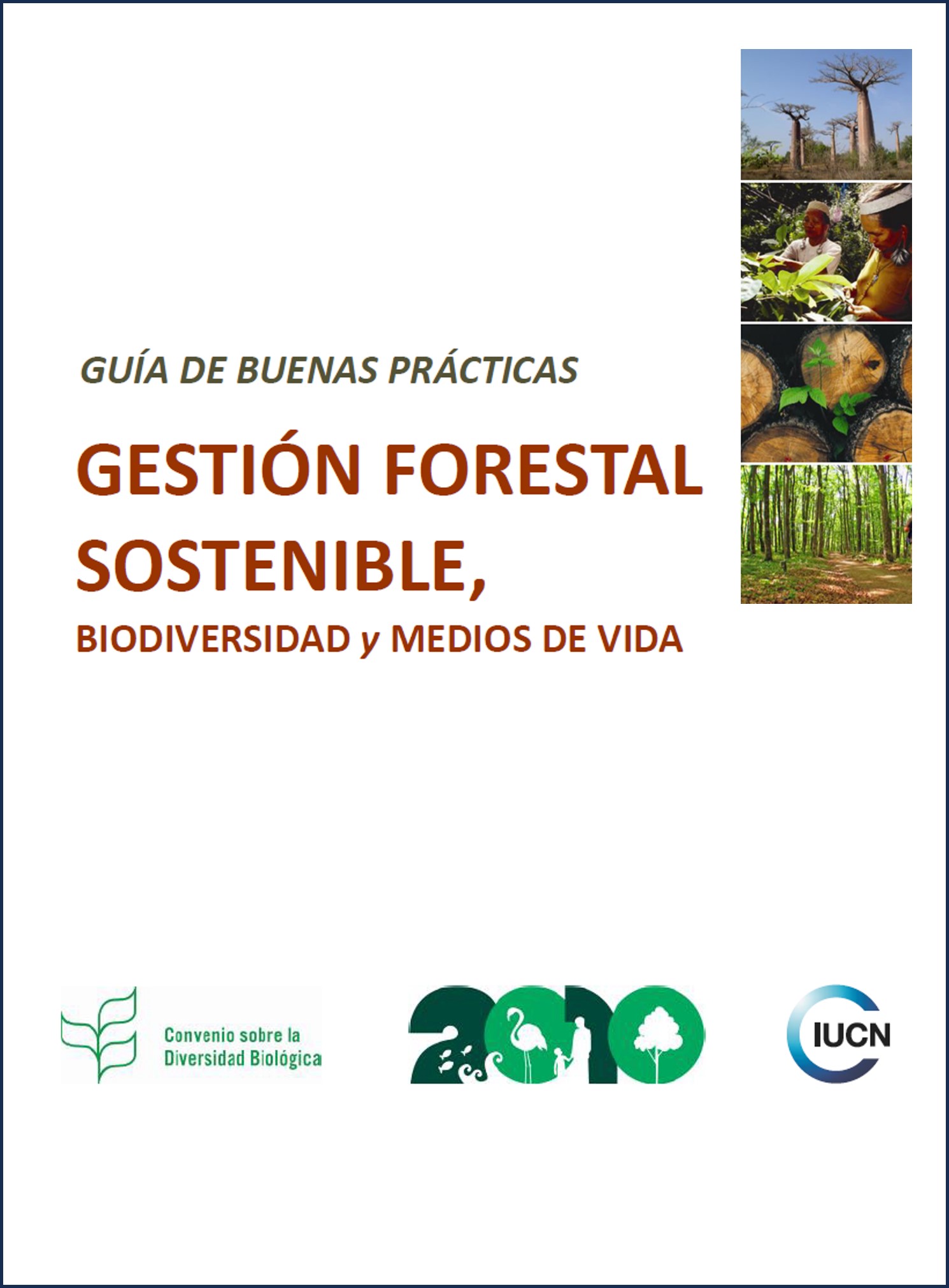 Gestión forestal sostenible, biodiversidad y medios de vida: 