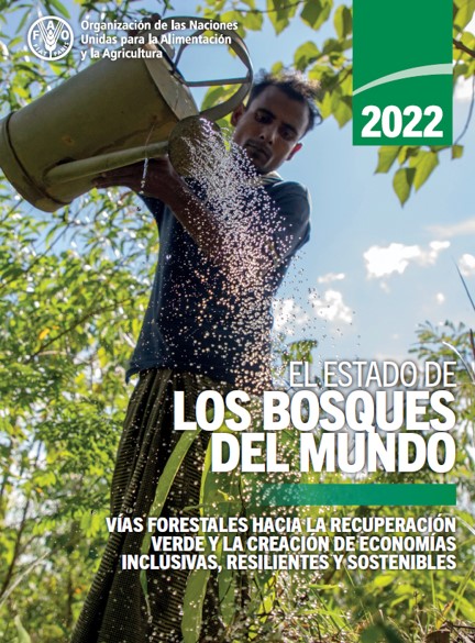El estado de los bosques del mundo 2022