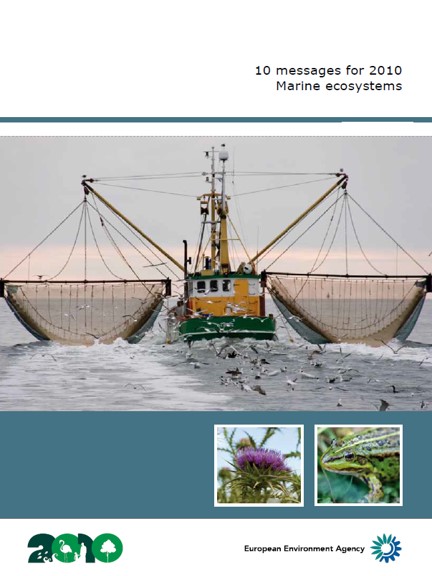 Marine ecosystems
