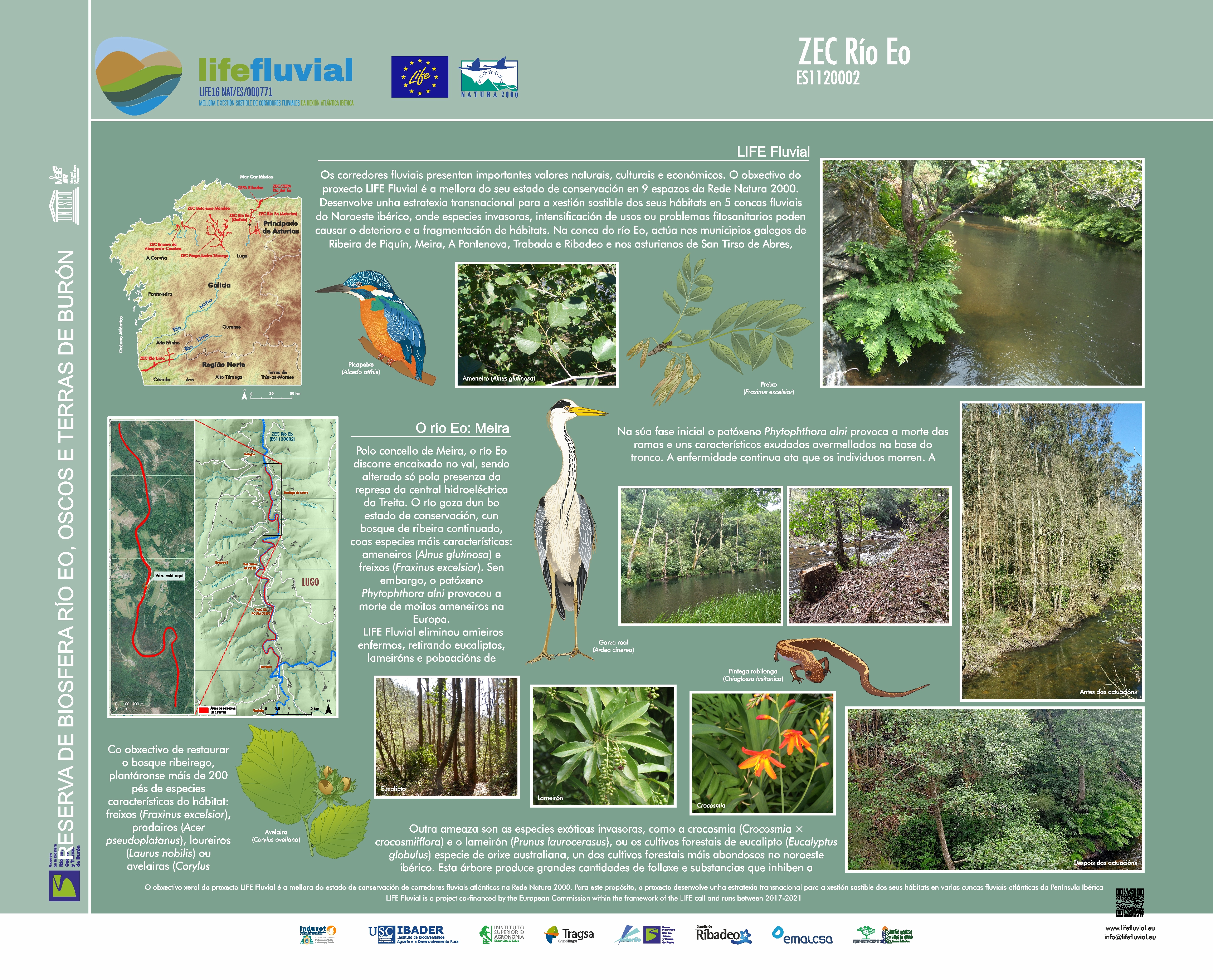 2021: LIFE FLUVIAL - Galicia