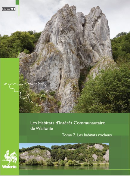 HIC: Wallonie - 7: Habitats rocheux