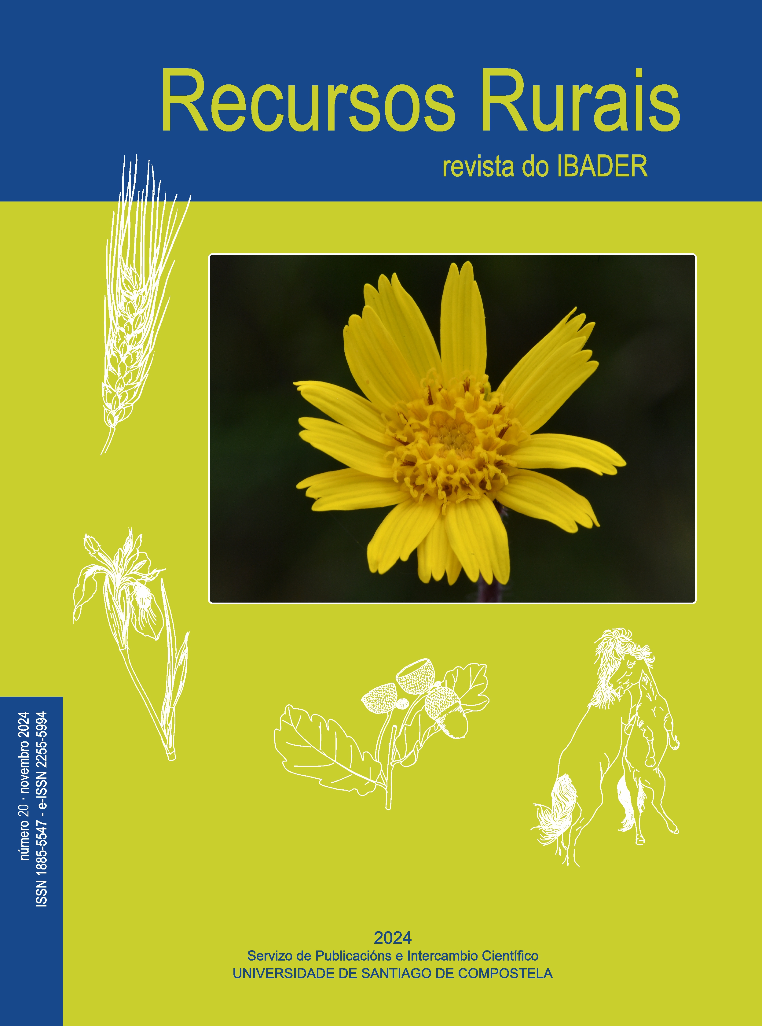 Nº 20.- Novembro 2024