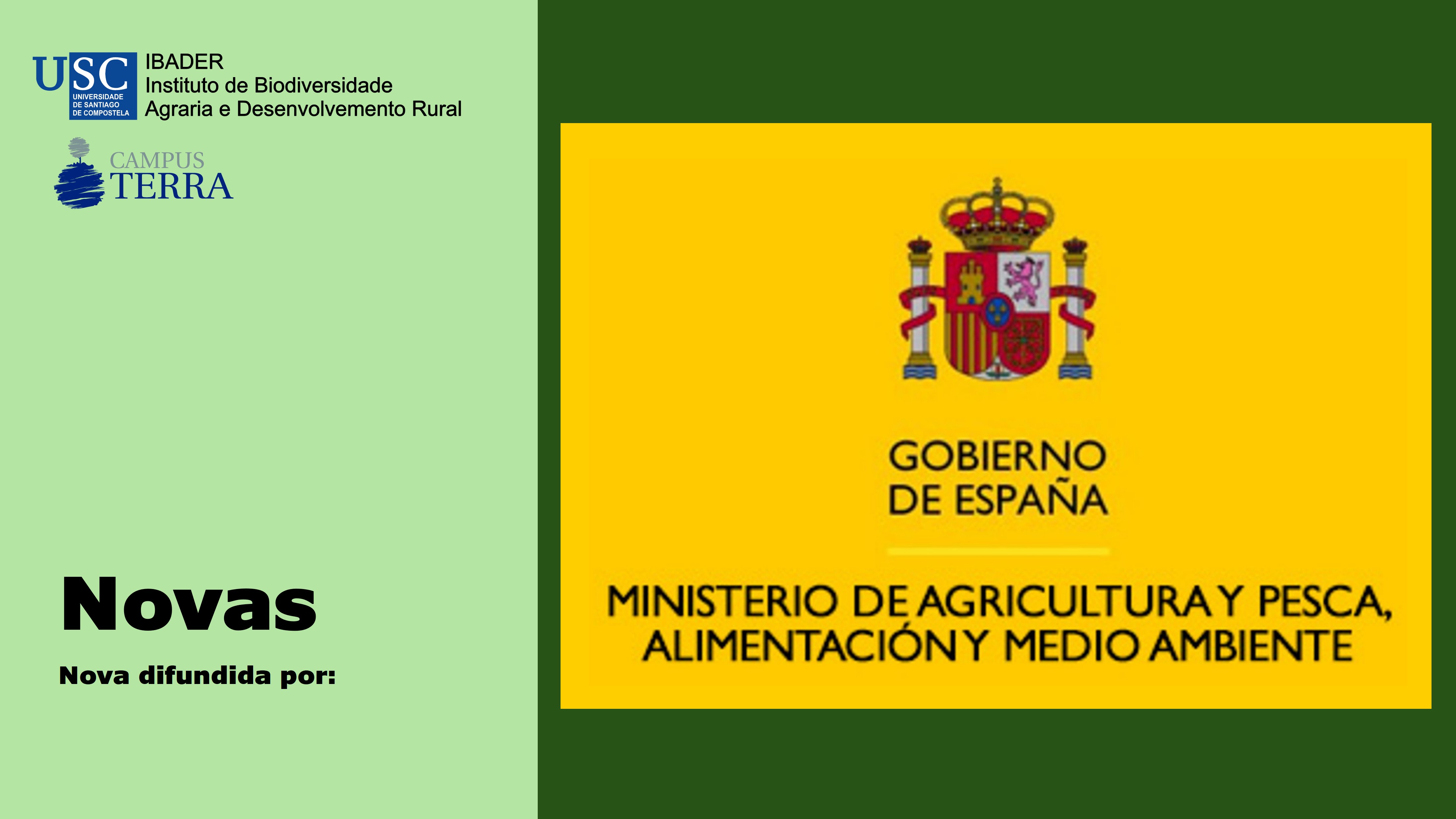 2018/04/13: El Ministerio de Agricultura y Pesca, Alimentación y Medio Ambiente acomete las obras de restauración de las zonas afectadas por el incendio forestal que se produjo en varios términos municipales de Orense 