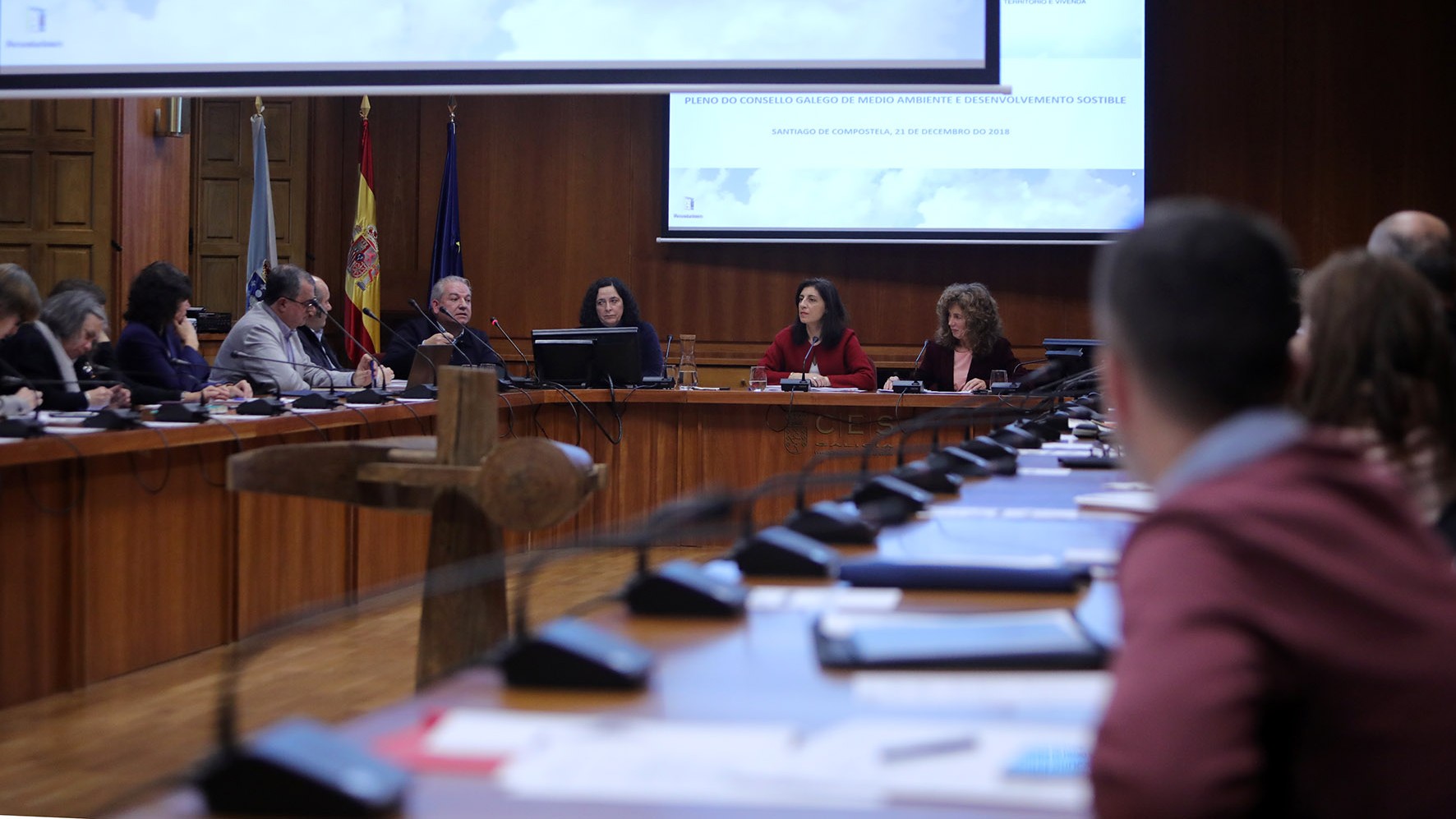 2018/12/21: Consello Galego de Medio Ambiente: PRUX Parque Nacional