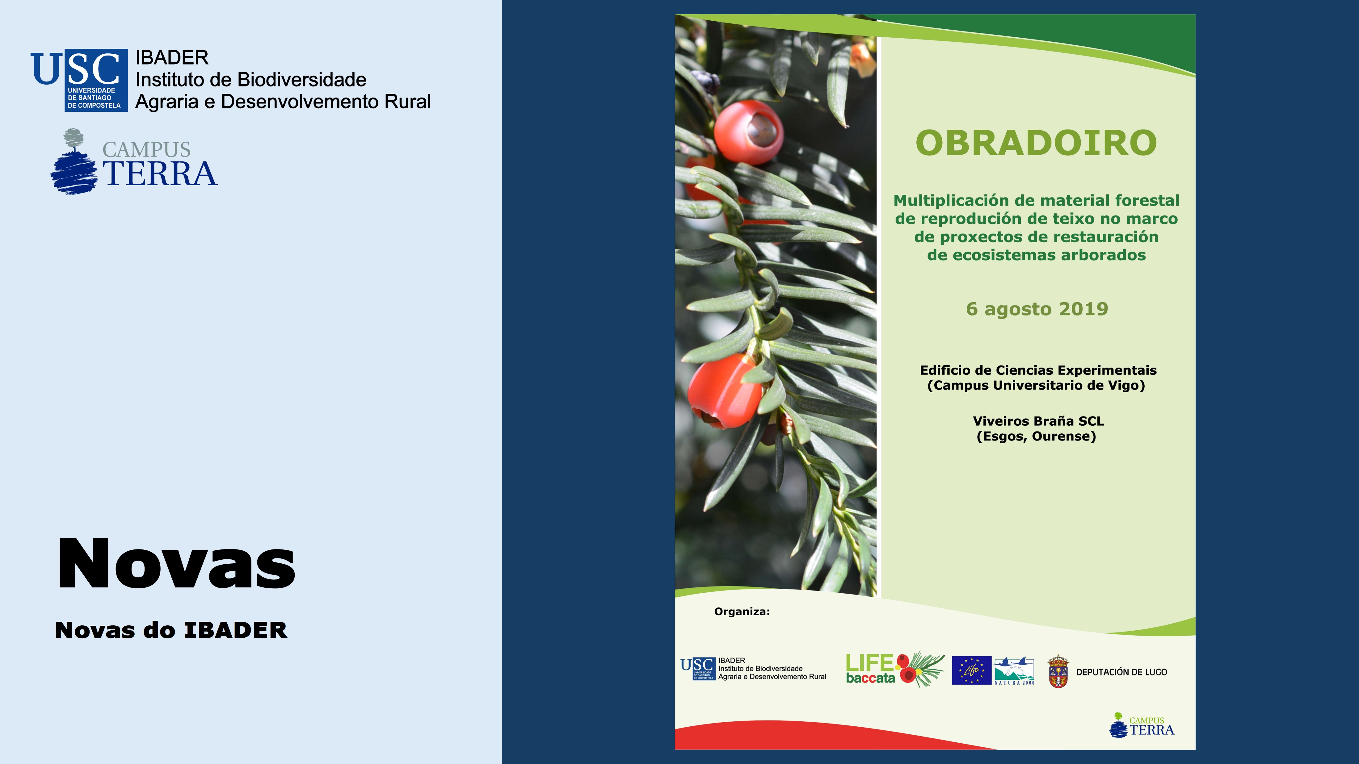 2019/08/08: Reunión de networking sobre multiplicación de material forestal de reprodución de teixo