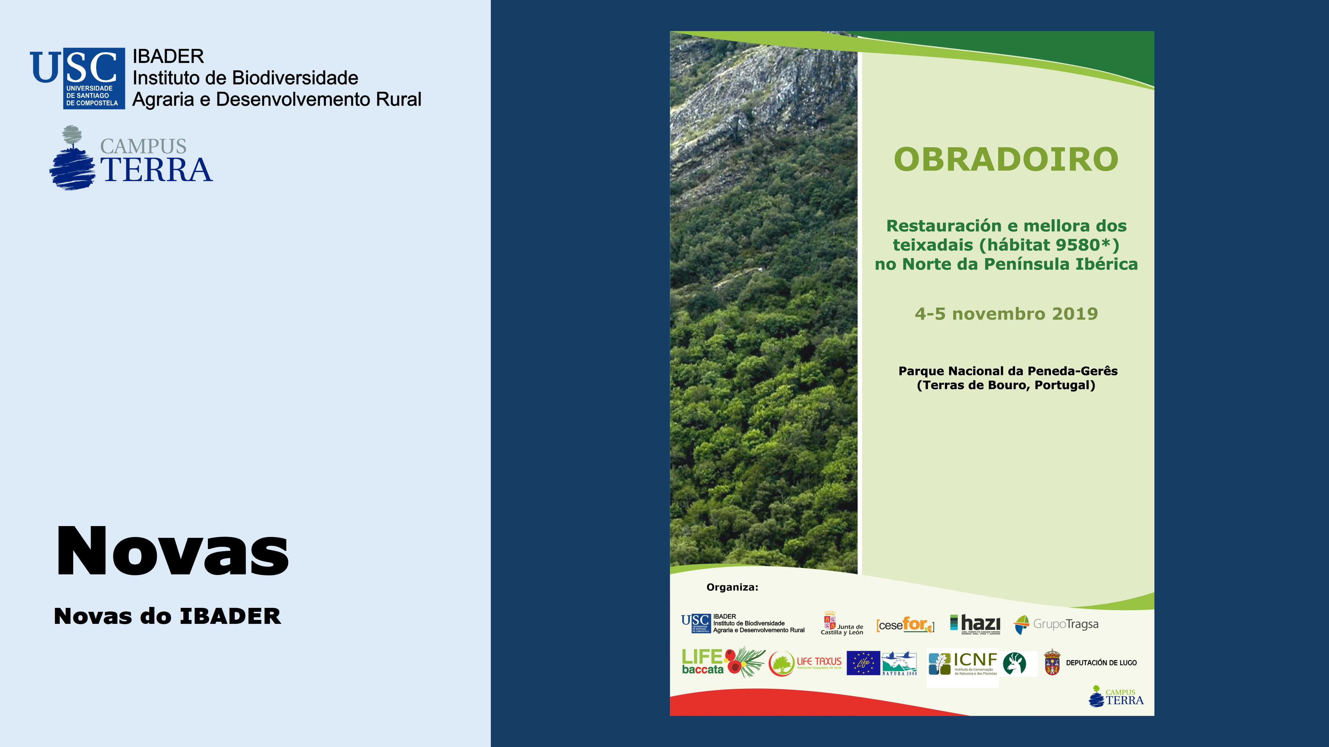 2019/10/22: Obradoiro internacional sobre restauración e mellora dos teixadais (hábitat 9580*) no Norte da Península Ibérica
