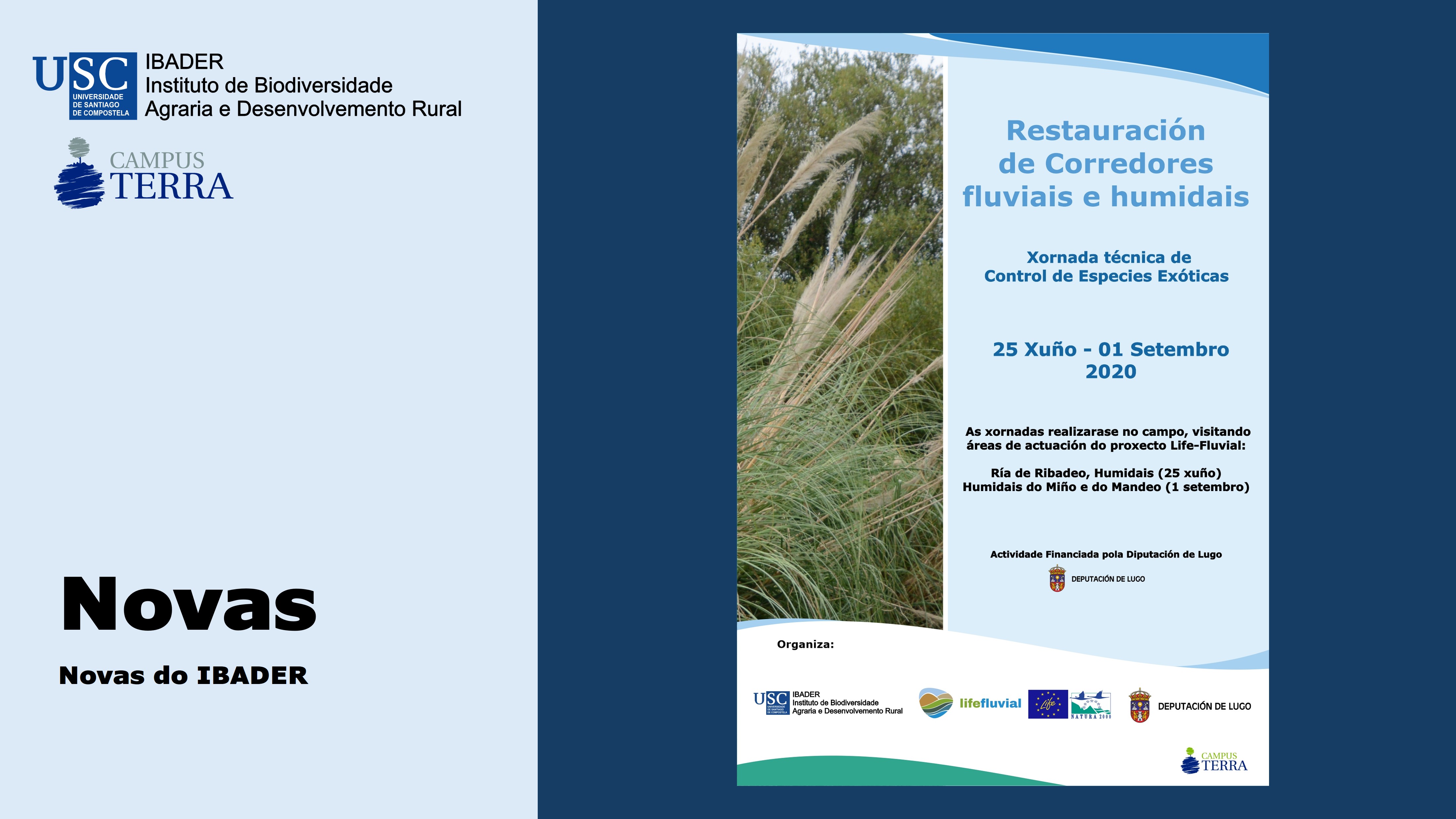 2020/15/06: Celebración Xornada Técnica
