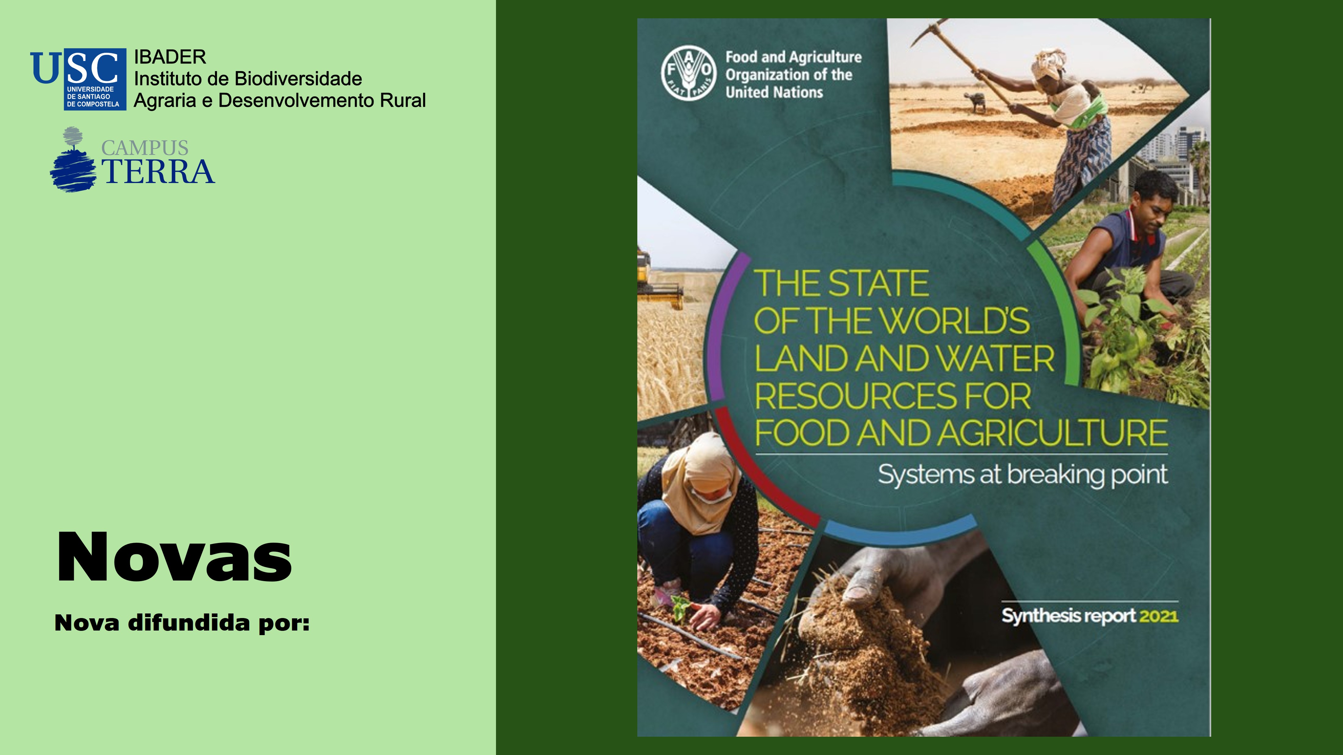 2021/12/31: Publicación da FAO