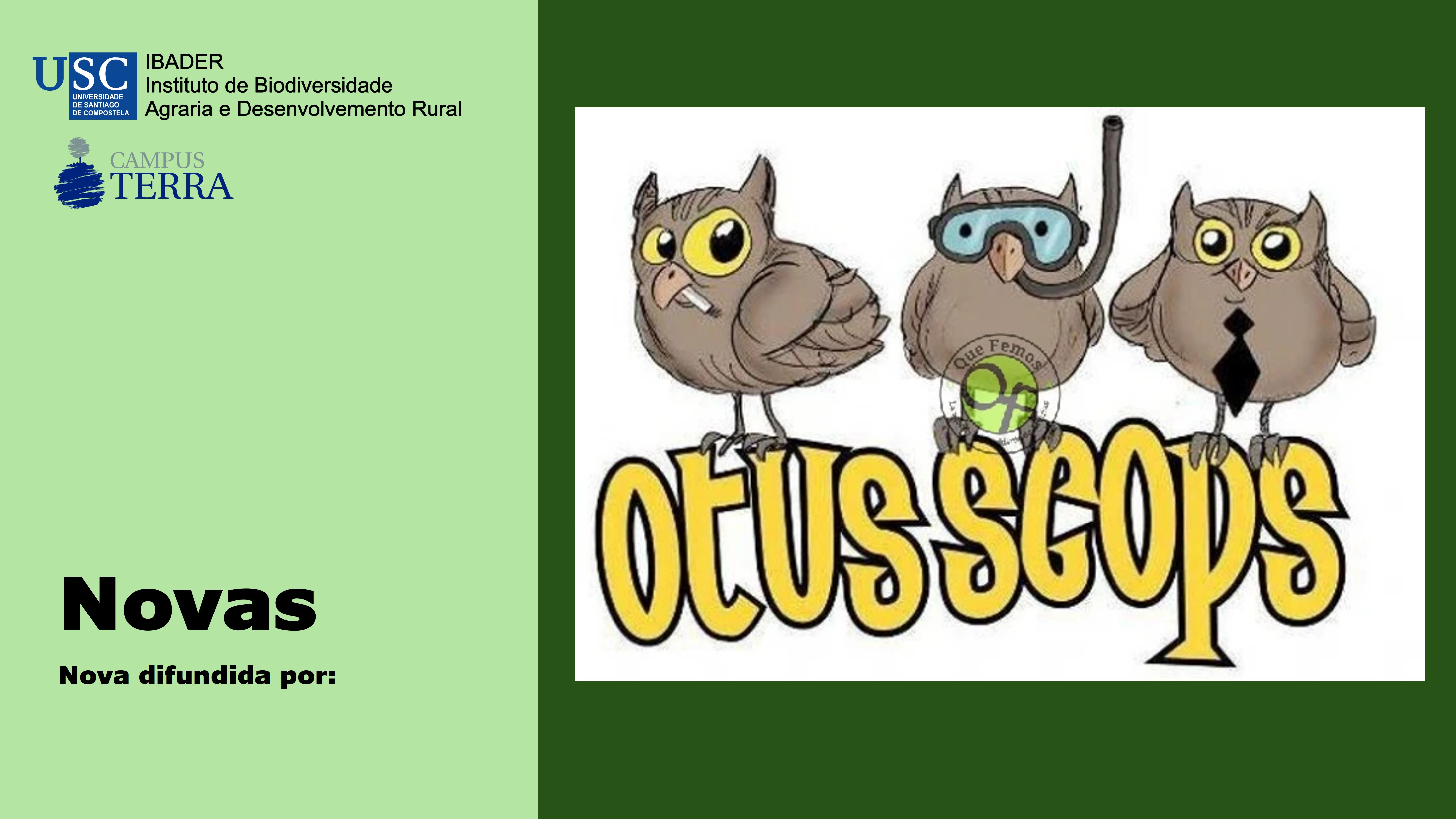 2022/04/04: O grupo musical Otus Scops, de Luarca, estrea o videoclip «Plumero de la Pampa»