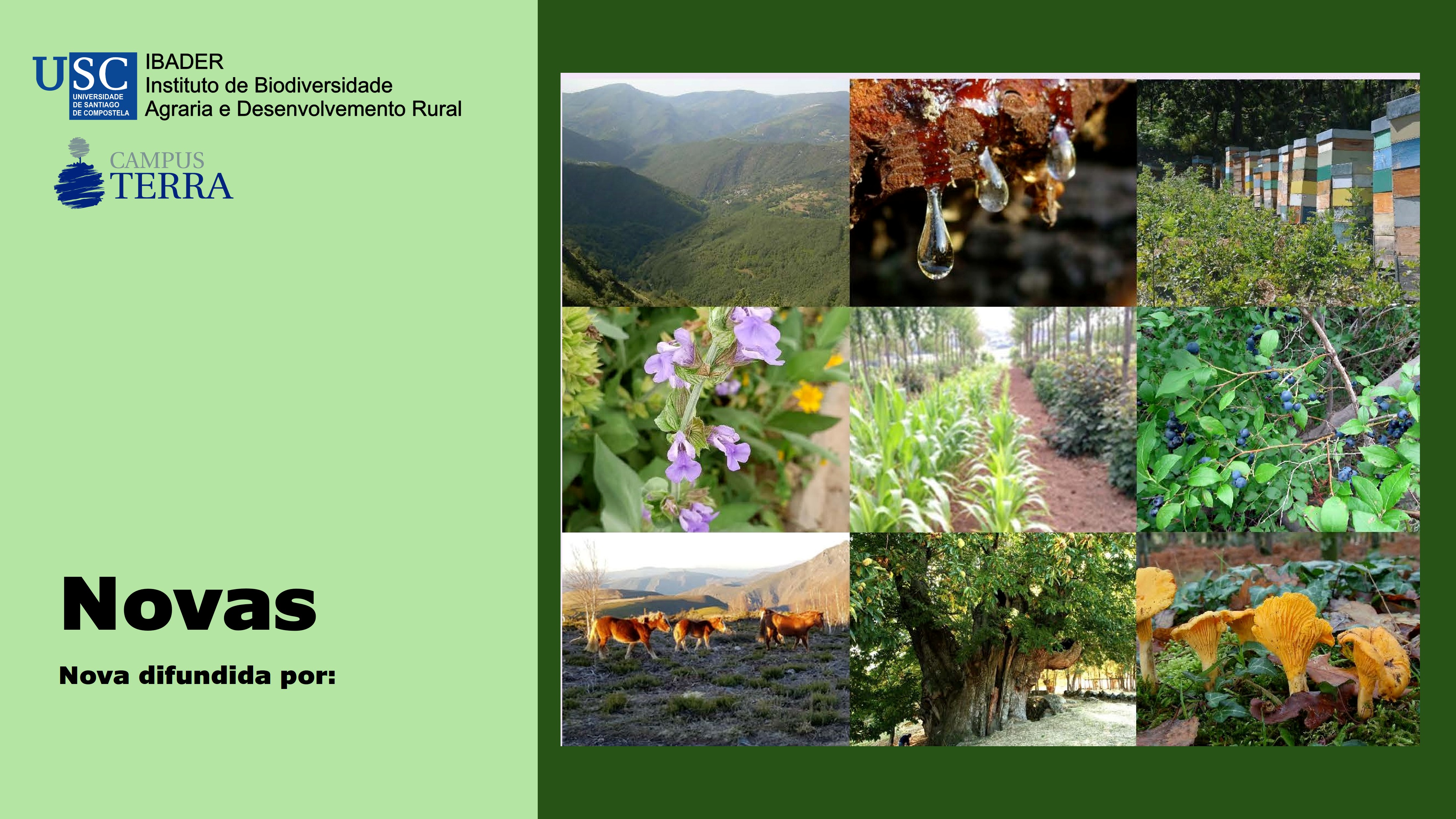 2022/07/18: Inaugurado no IBADER o Curso de Verán Producións non Madeireiras e Servizos do Monte Galego