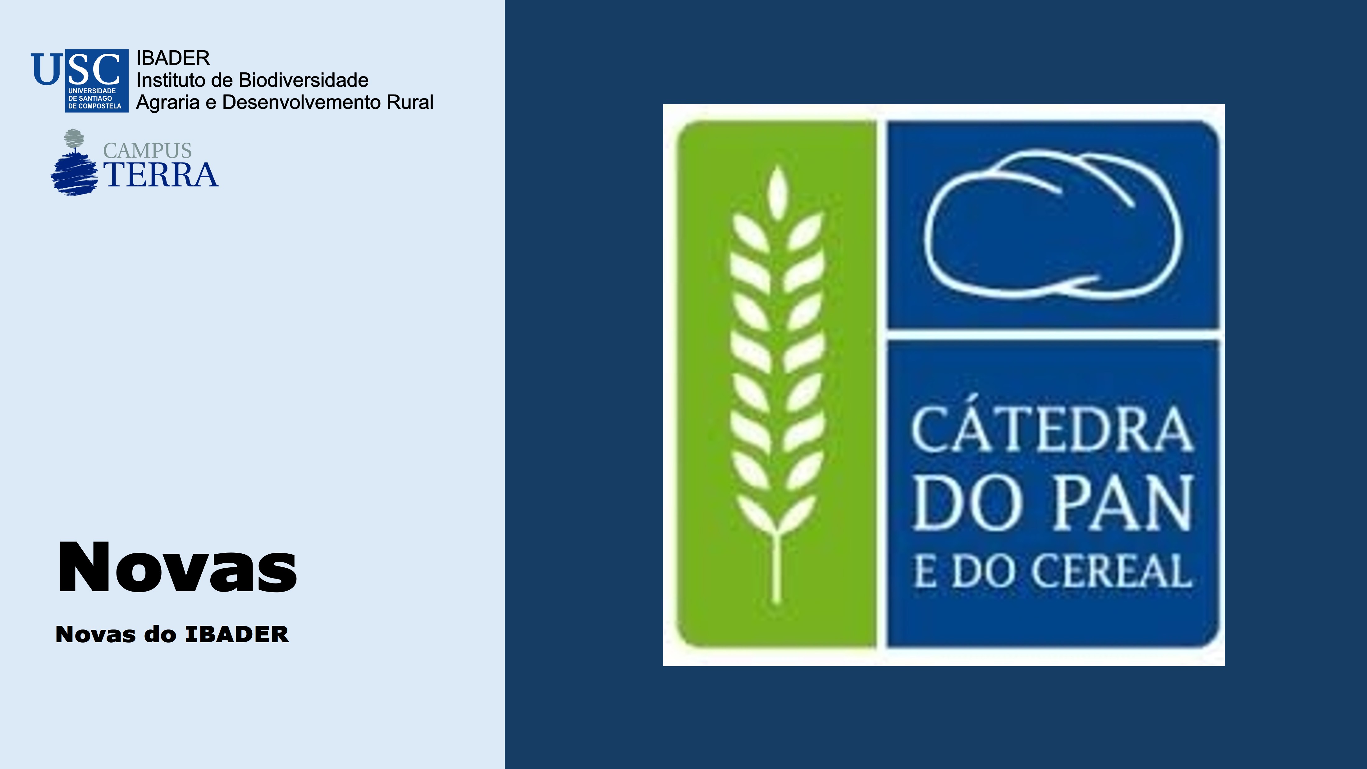 2025/06/15: Curso sobre o Pan e o Cereal Galego