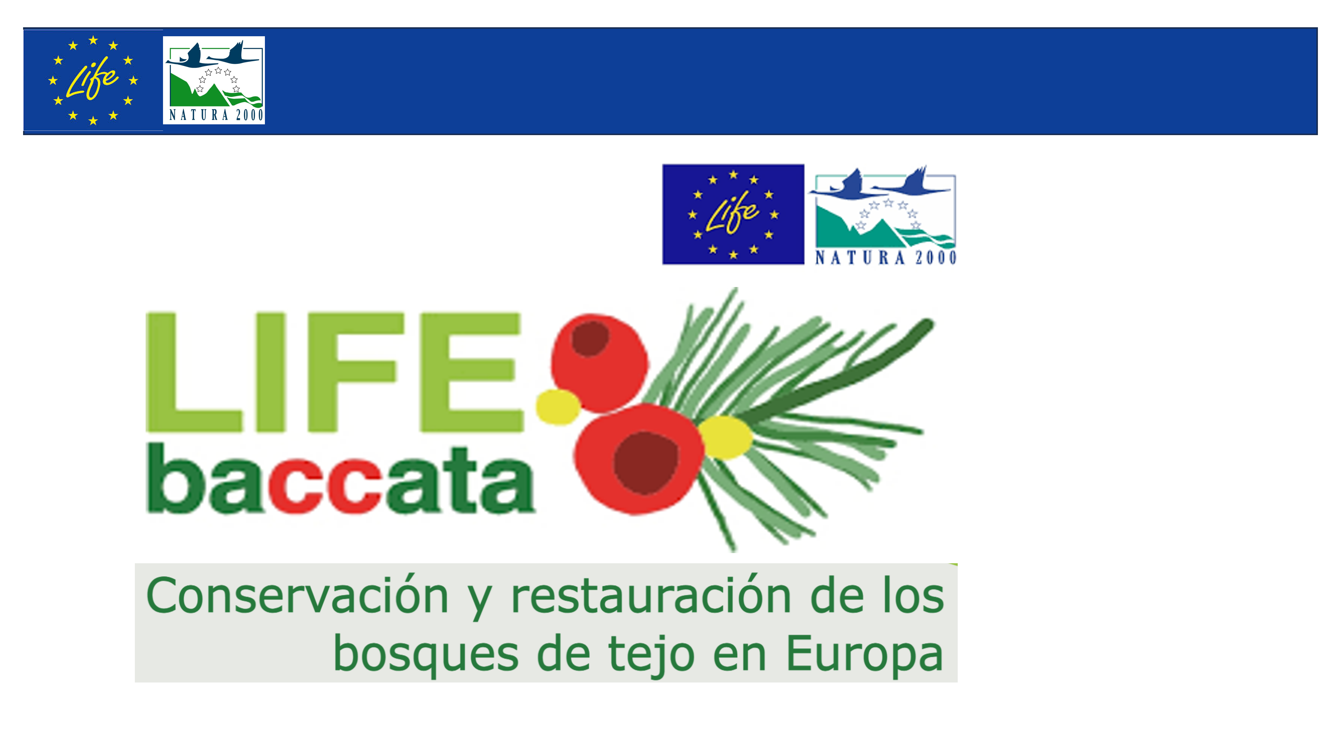2018/11/29: Celebrado o Seminario BACCATA no Campus Terra (Lugo)