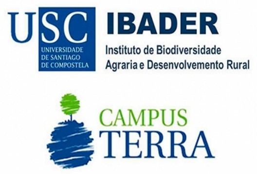 2025/10/20; Concurso Convocatoria Pública Ordinaria de contratacion de persoal IBADER 02/2025