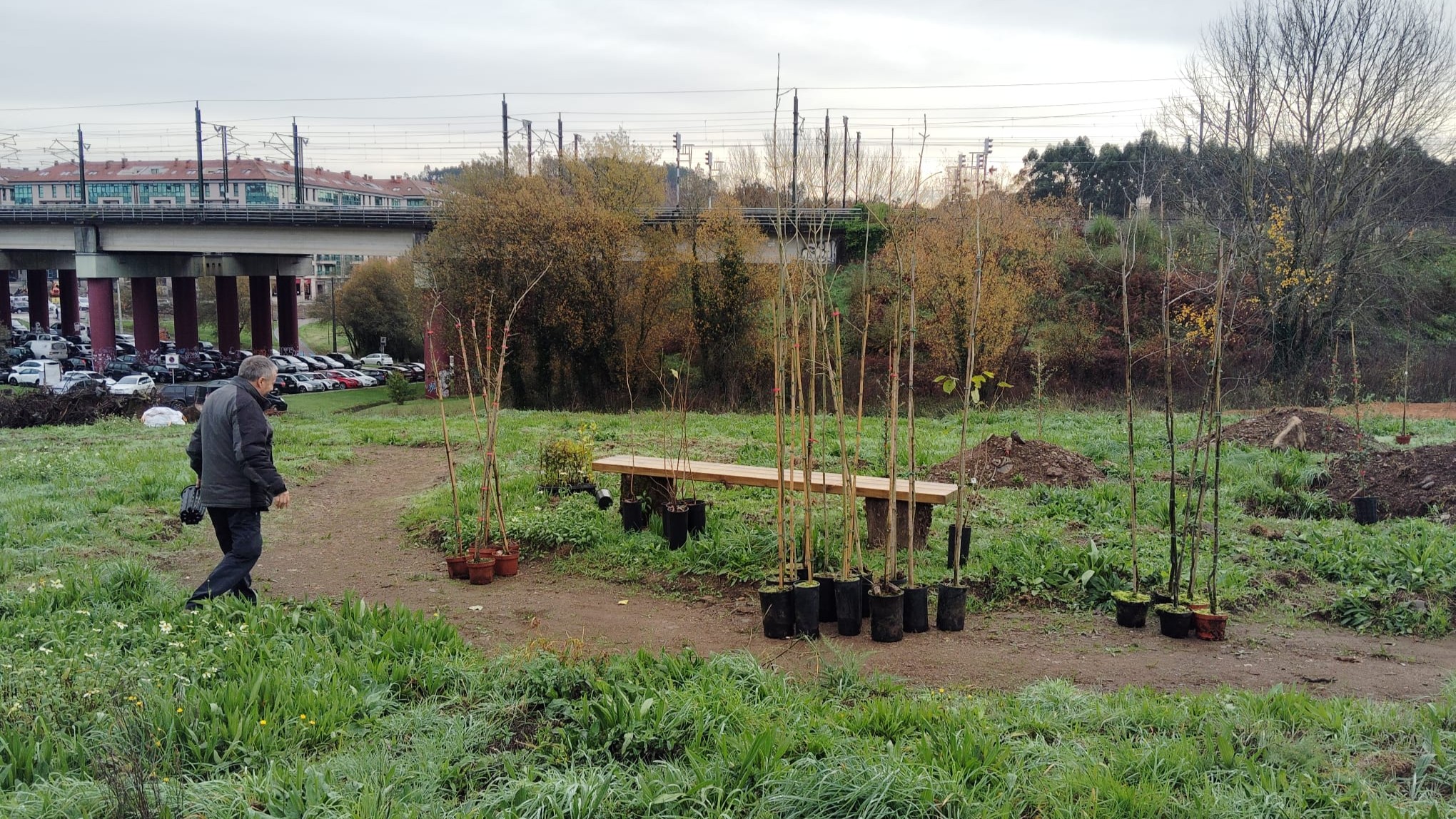 2025/12/11: Comezan as plantacións na área verde de Cornes