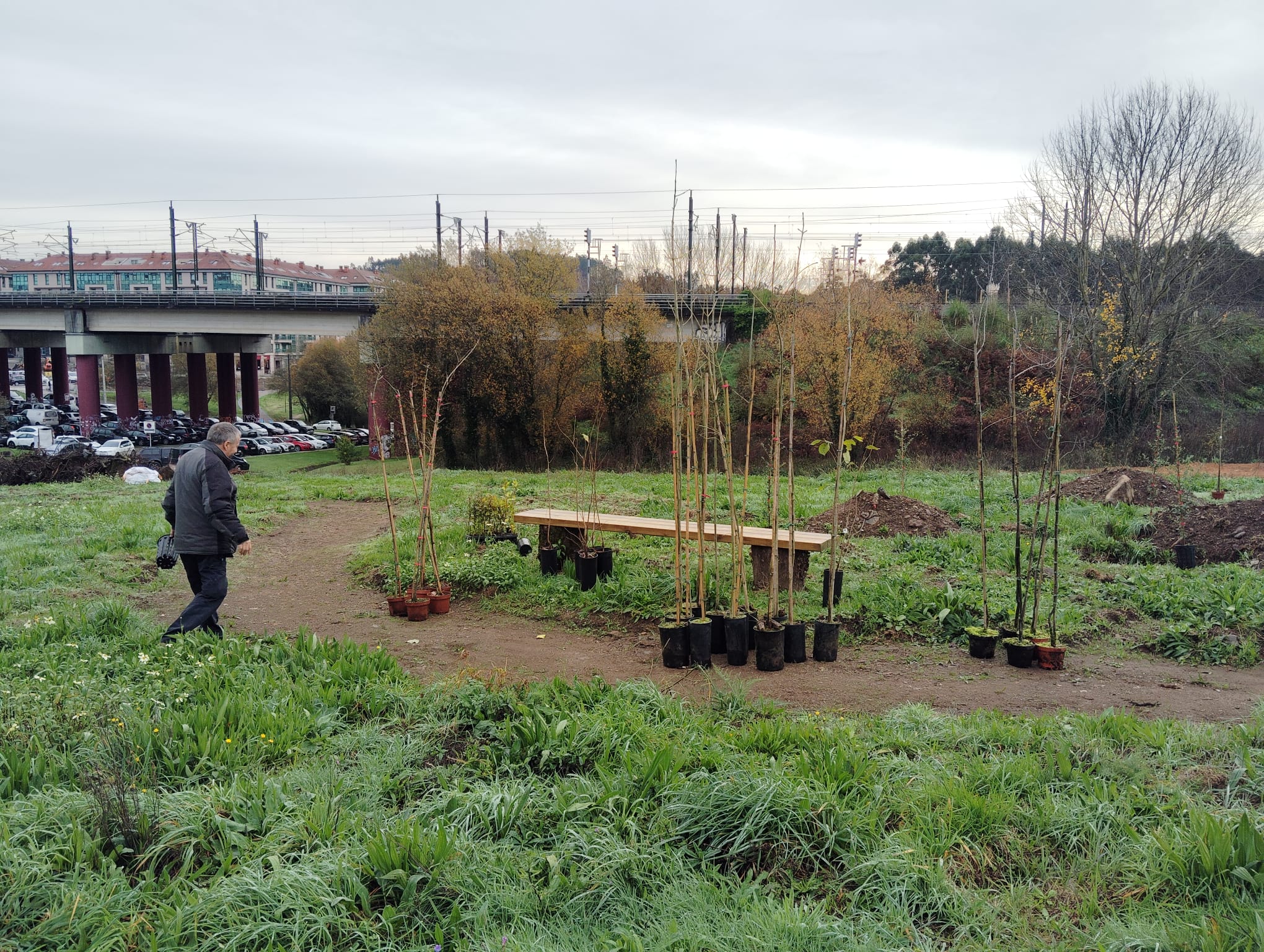 2025/12/11: Comezan as plantacións para a creación de bosquetes autóctonos na área verde de Cornes