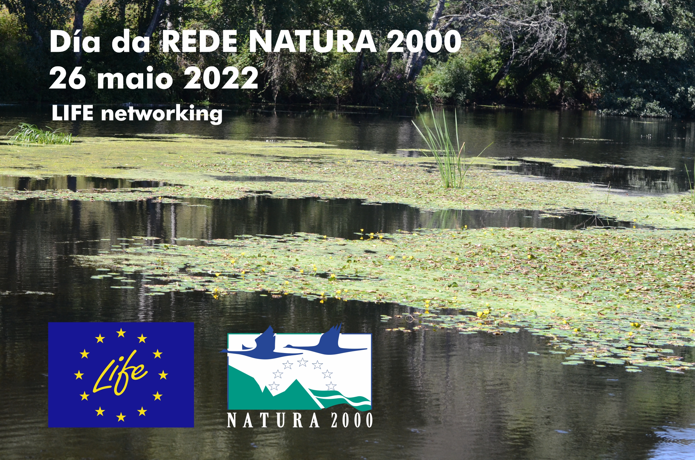 2022/05/19: Seminario para a celebración do Día da Rede Natura 2000 e do seu 30 aniversario en Europa