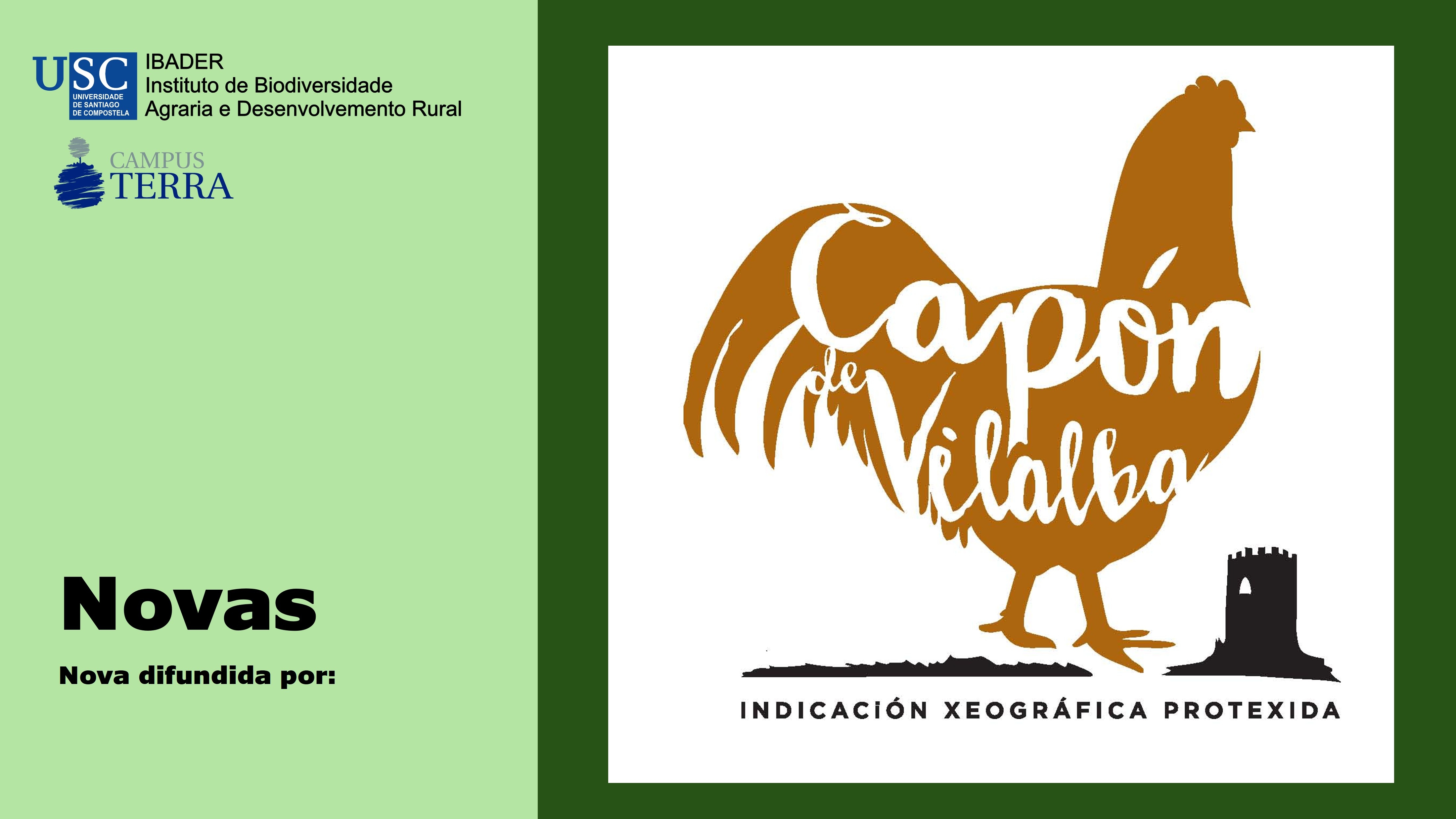 2017/10/10: El “Capón de Vilalba” queda inscrito como Indicación Geográfica Protegida en el Registro comunitario de productos de calidad diferenciada