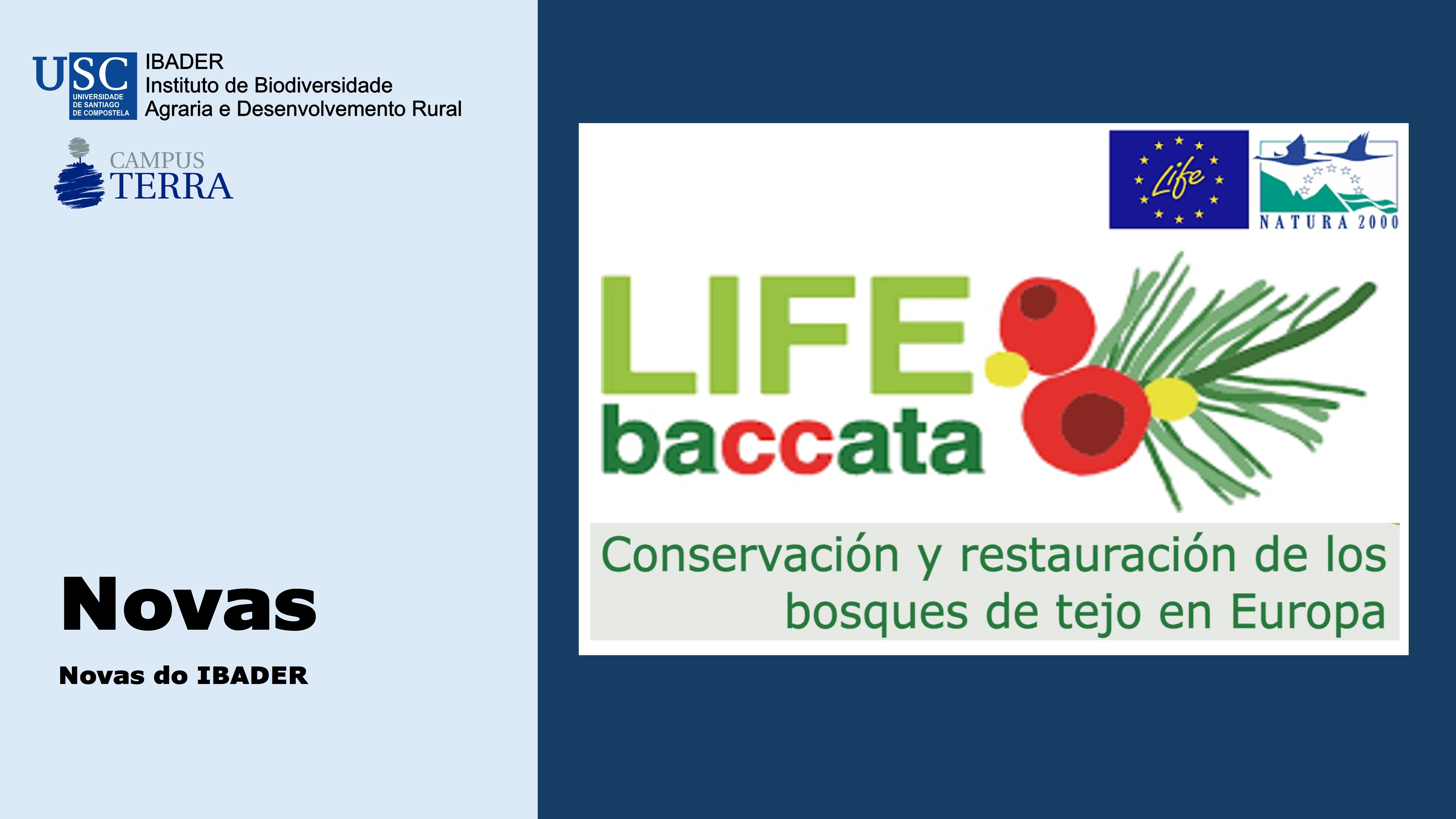 2018/11/29: Celebrado o Seminario BACCATA no Campus Terra (Lugo)