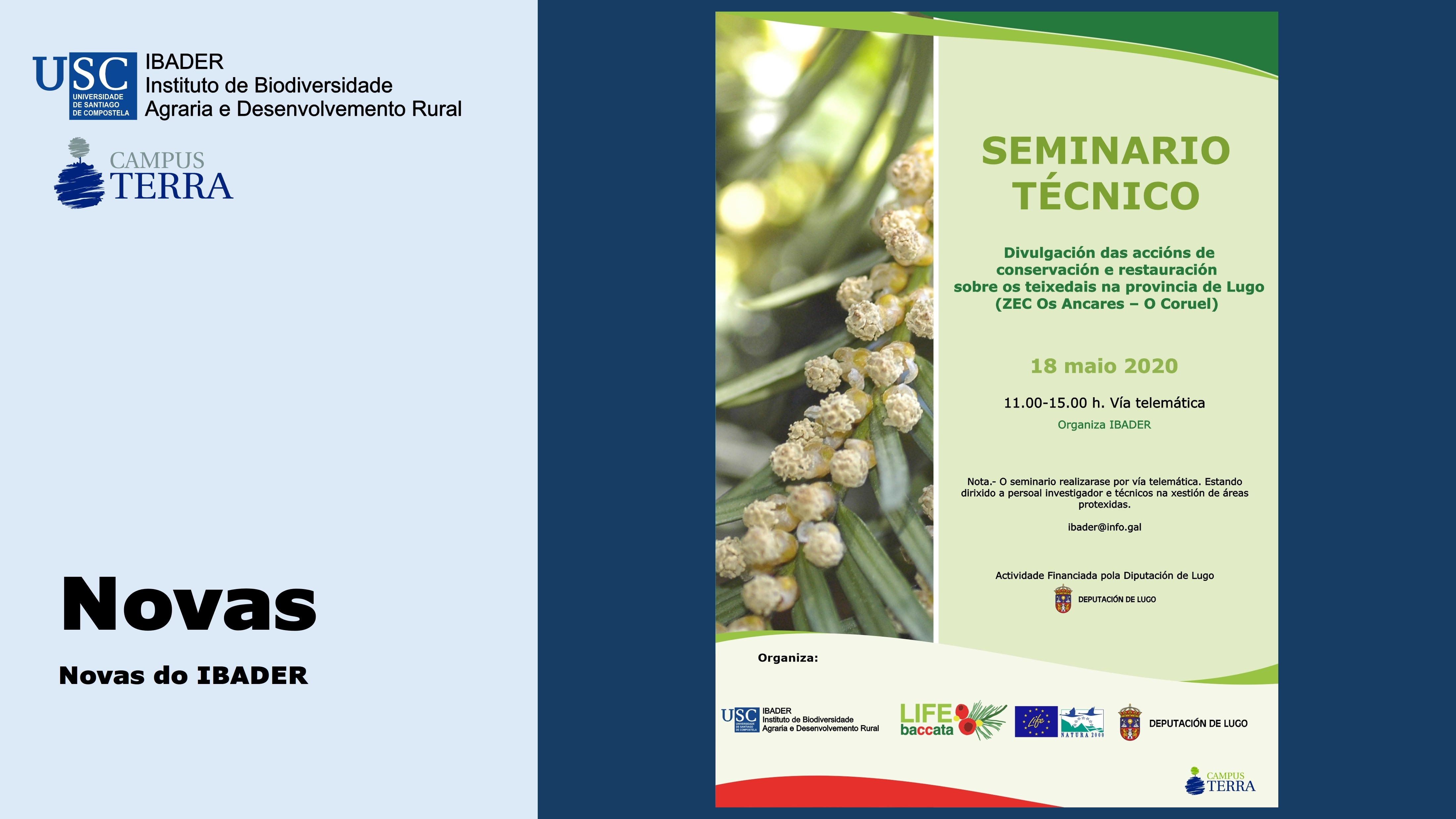 2020/05/08: Celebración Seminario Técnico