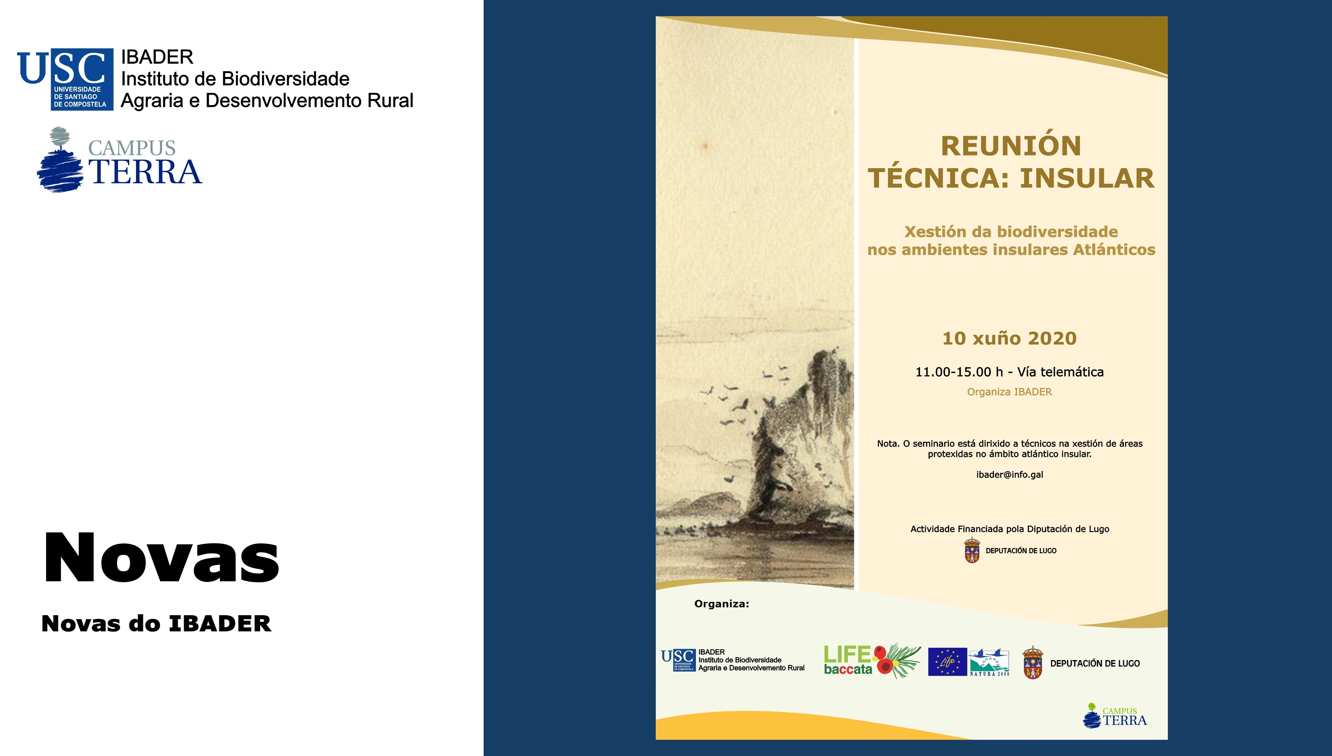 2020/06/01: Celebración  da Reunión Técnica: INSULAR