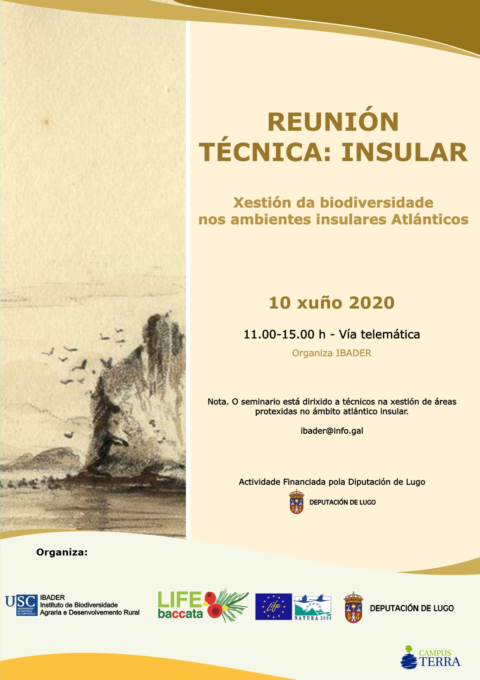 2020/06/01: Celebración  da Reunión Técnica: INSULAR