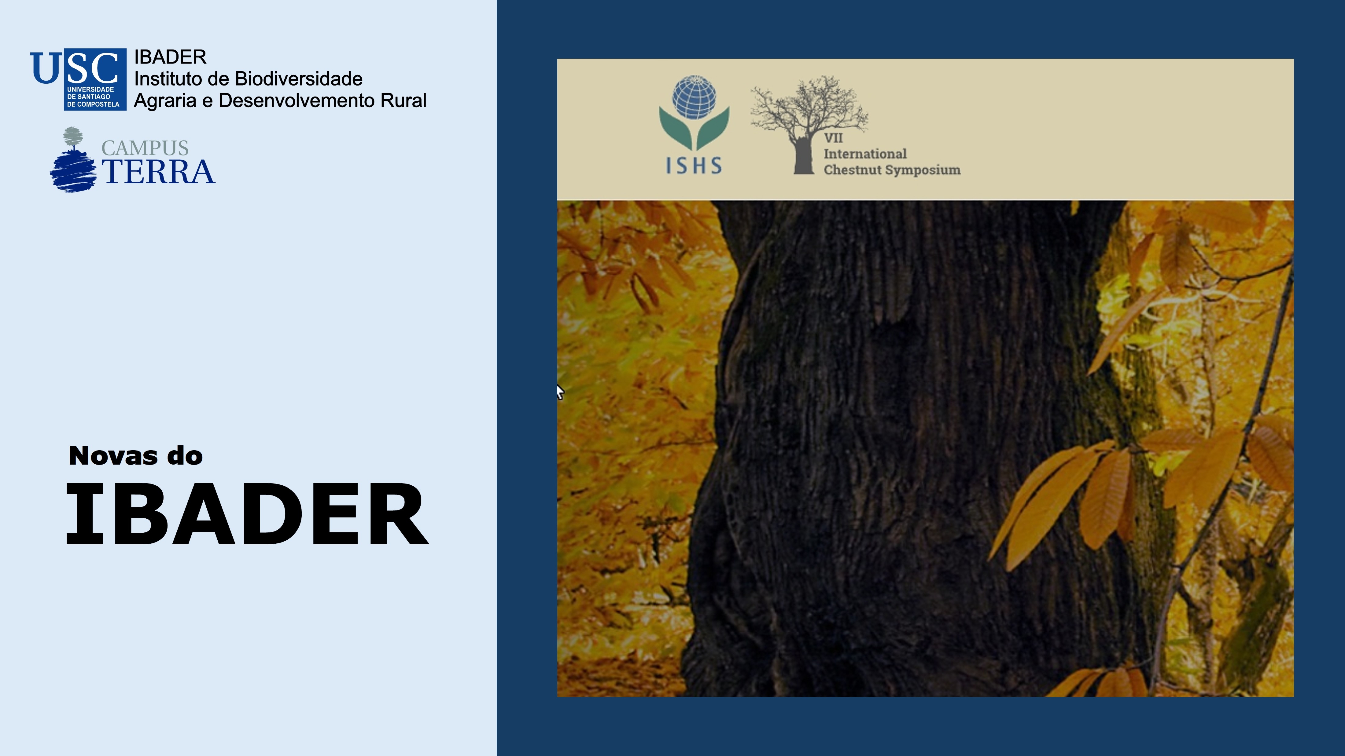 2023/02/17: Aberta a inscrición para o  VII Congreso Internacional do Castiñeiro 2023