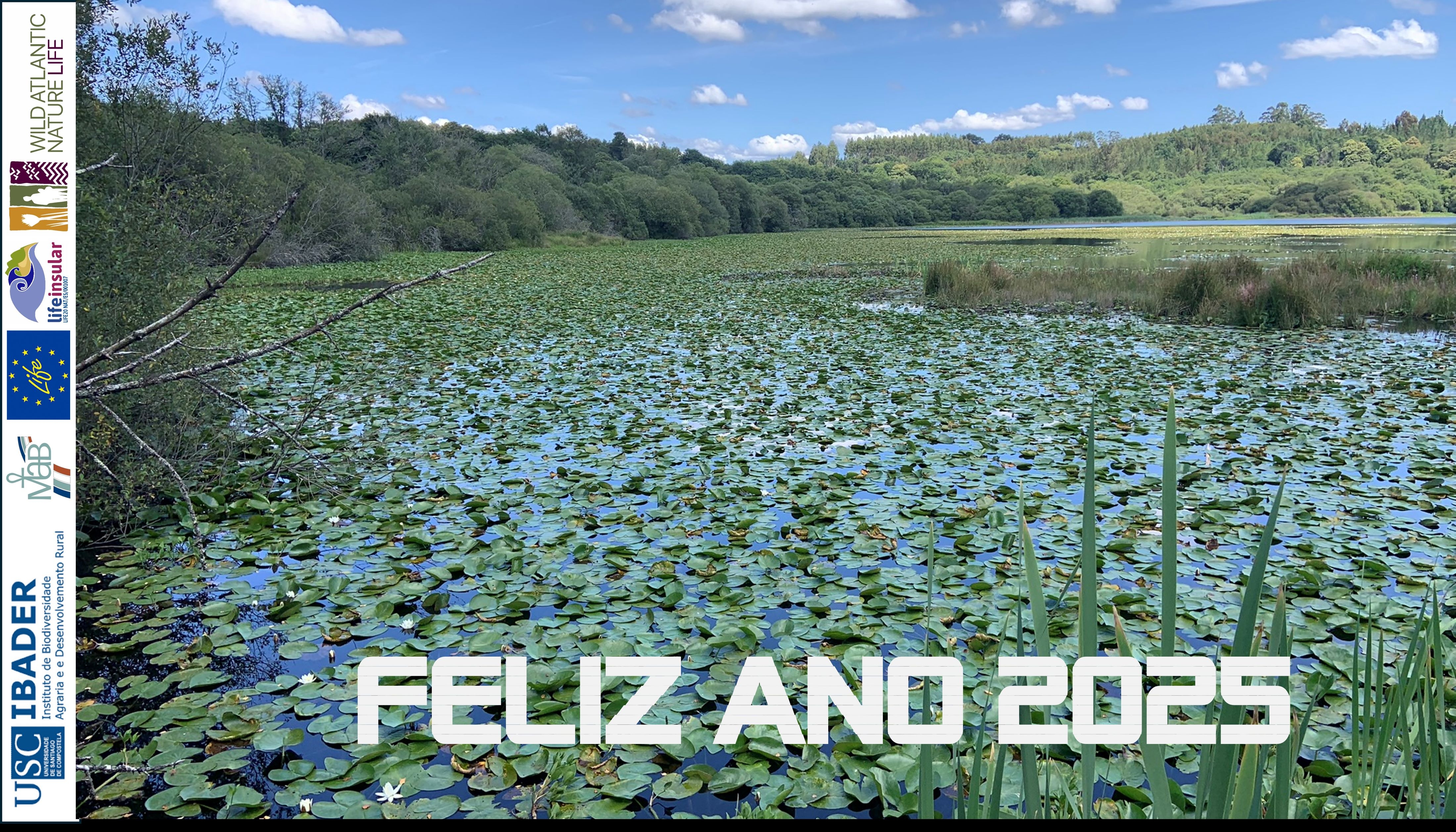 2024/12/18: O IBADER deséxalles felices festas e un ventureiro 2025