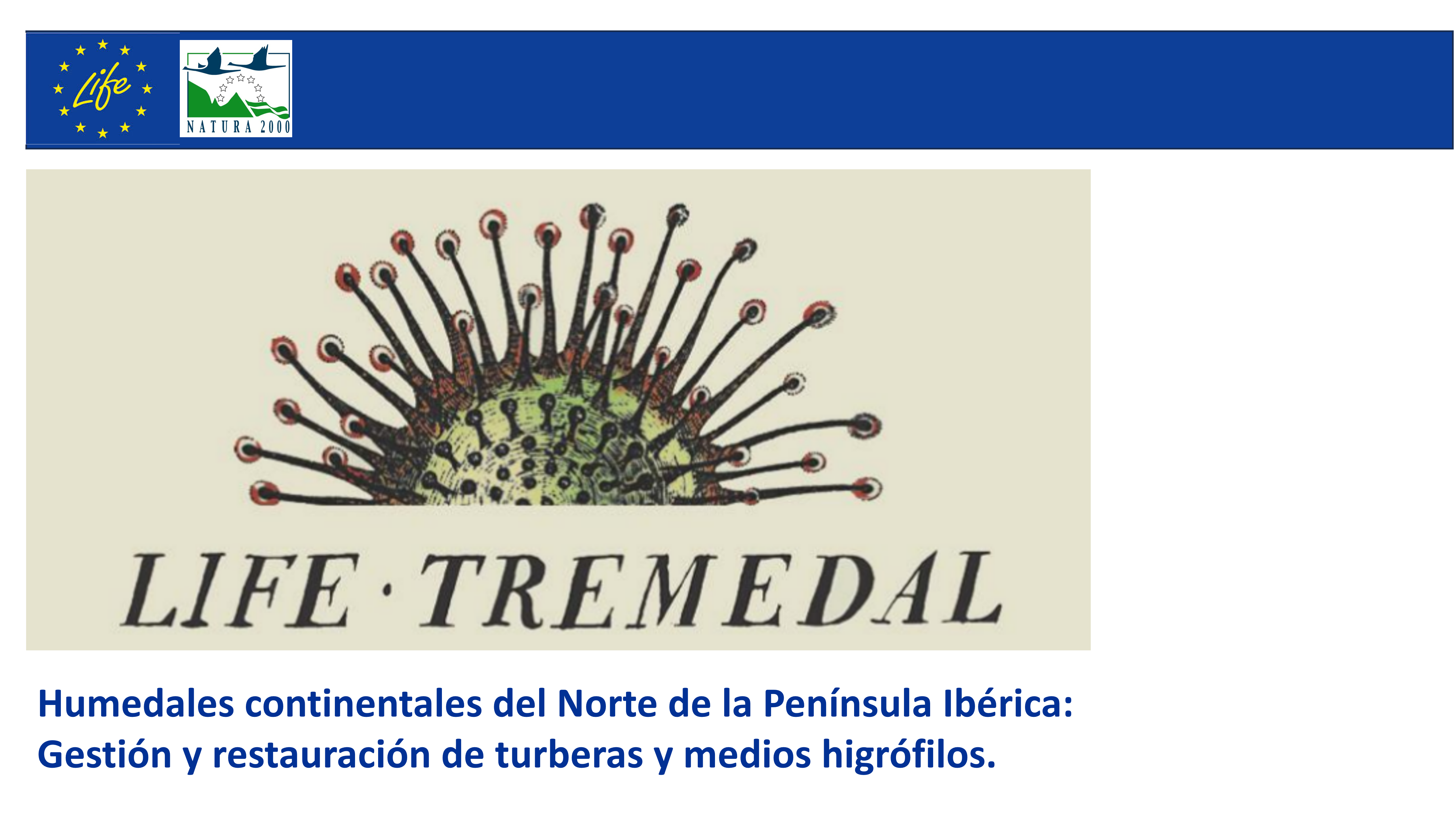2012/07/01: A Comisión Europea aprobou o proxecto LIFE+ Tremedal que inclúe distintas actuacións de conservación e restauración nos humidais do Norte da Península Ibérica.