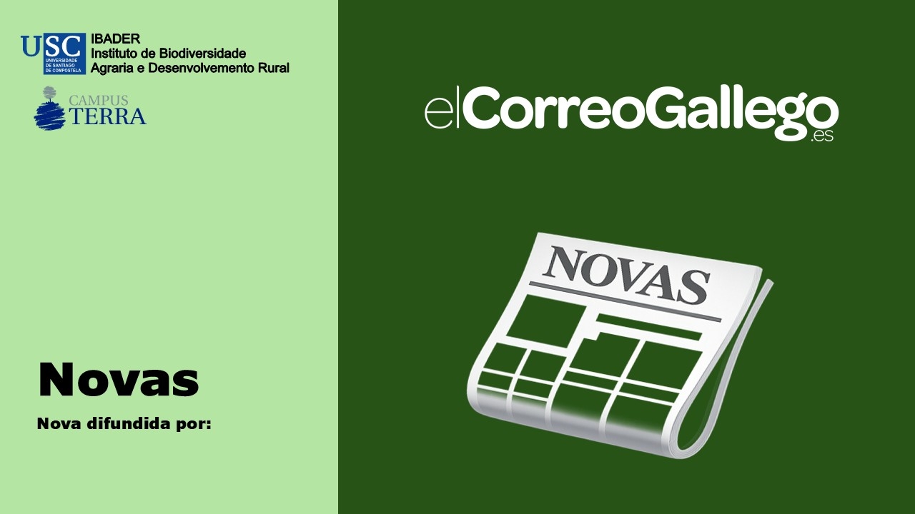 2025/08/22: El Correo Gallego faise eco das obras do Barrio Verde de Pontepedriña 