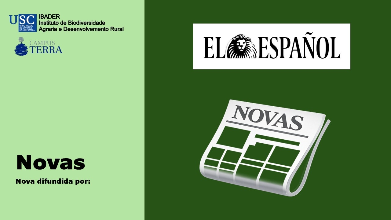 2025/03/12: O Diario El Español faise eco do proxecto Entre Sar e Sarela