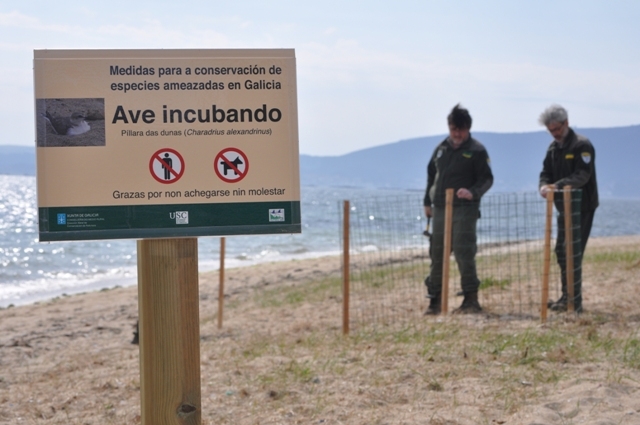2013/04/11: A Dirección Xeral de Conservación da Natureza somete a información pública os Plan de Recuperación do Oso Pardo e o proxecto de Decreto que aproba o Plan de Conservación da Pillara