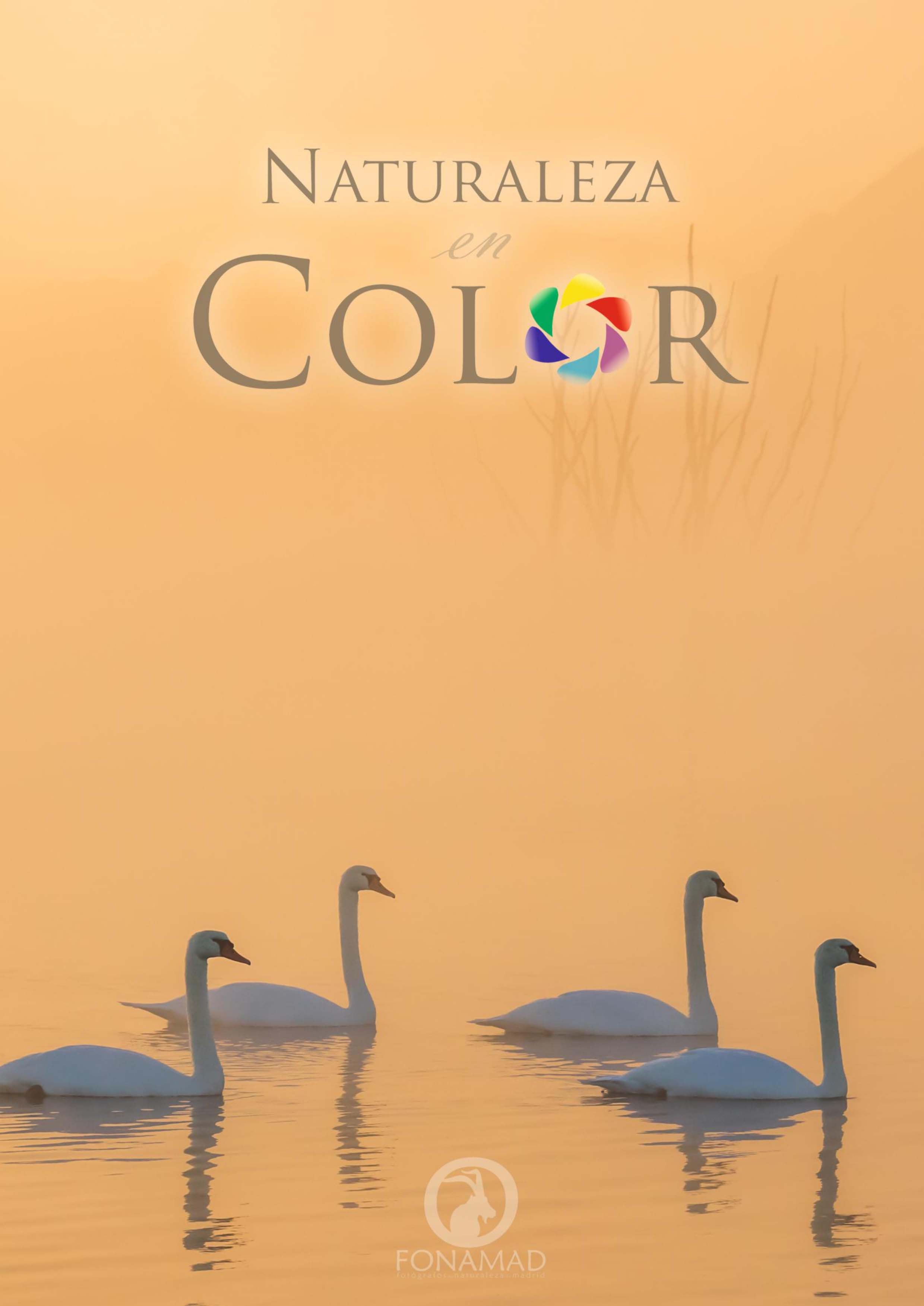 2017/12/11: La exposición “La naturaleza en color” da a conocer las maravillas del mundo natural a través de la fotografía