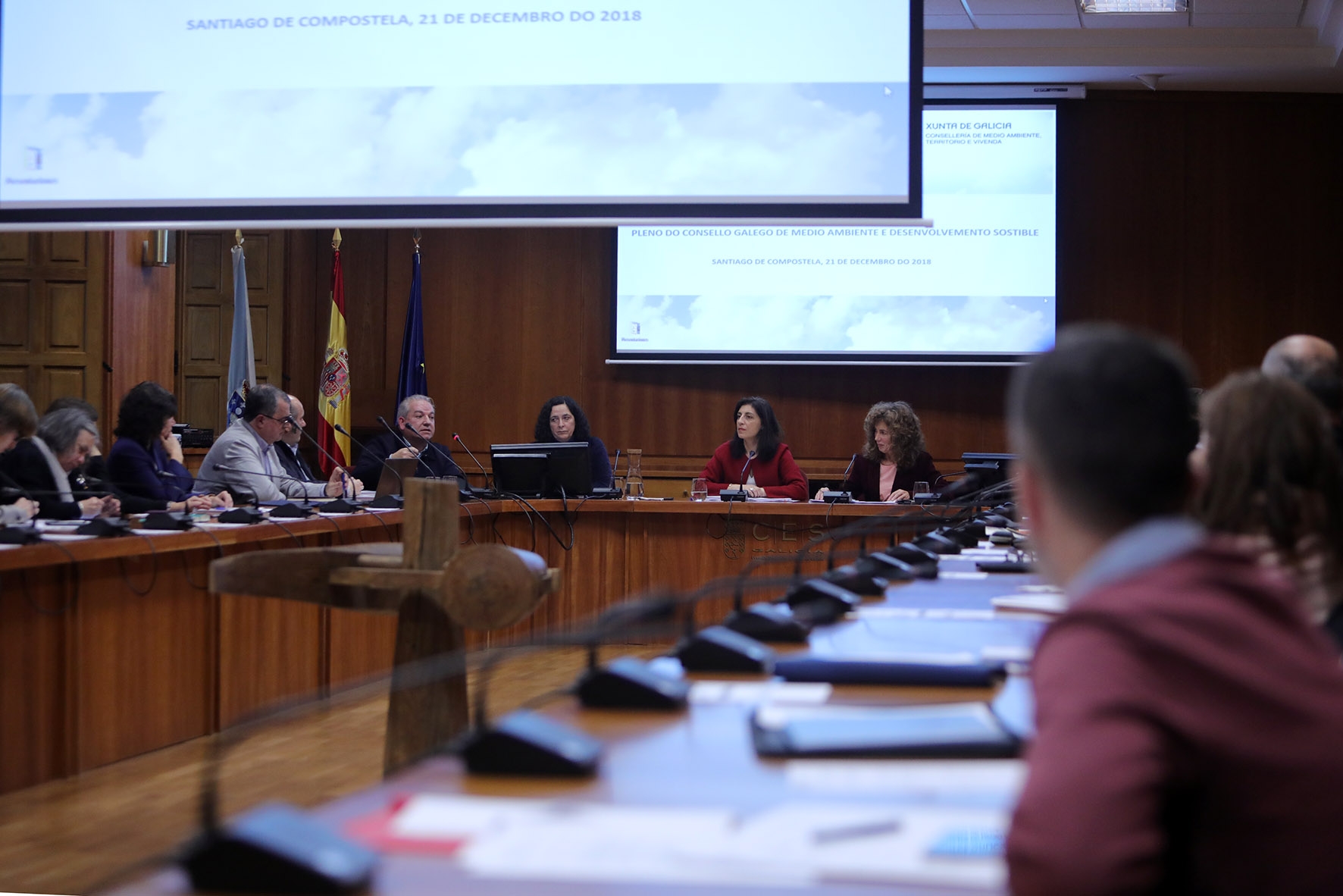 2018/12/21: Consello Galego de Medio Ambiente: PRUX Parque Nacional