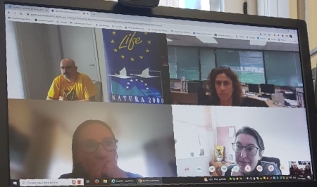 2022/11/26: Celebrada a segunda reunión de coordinación de LIFE INSULAR